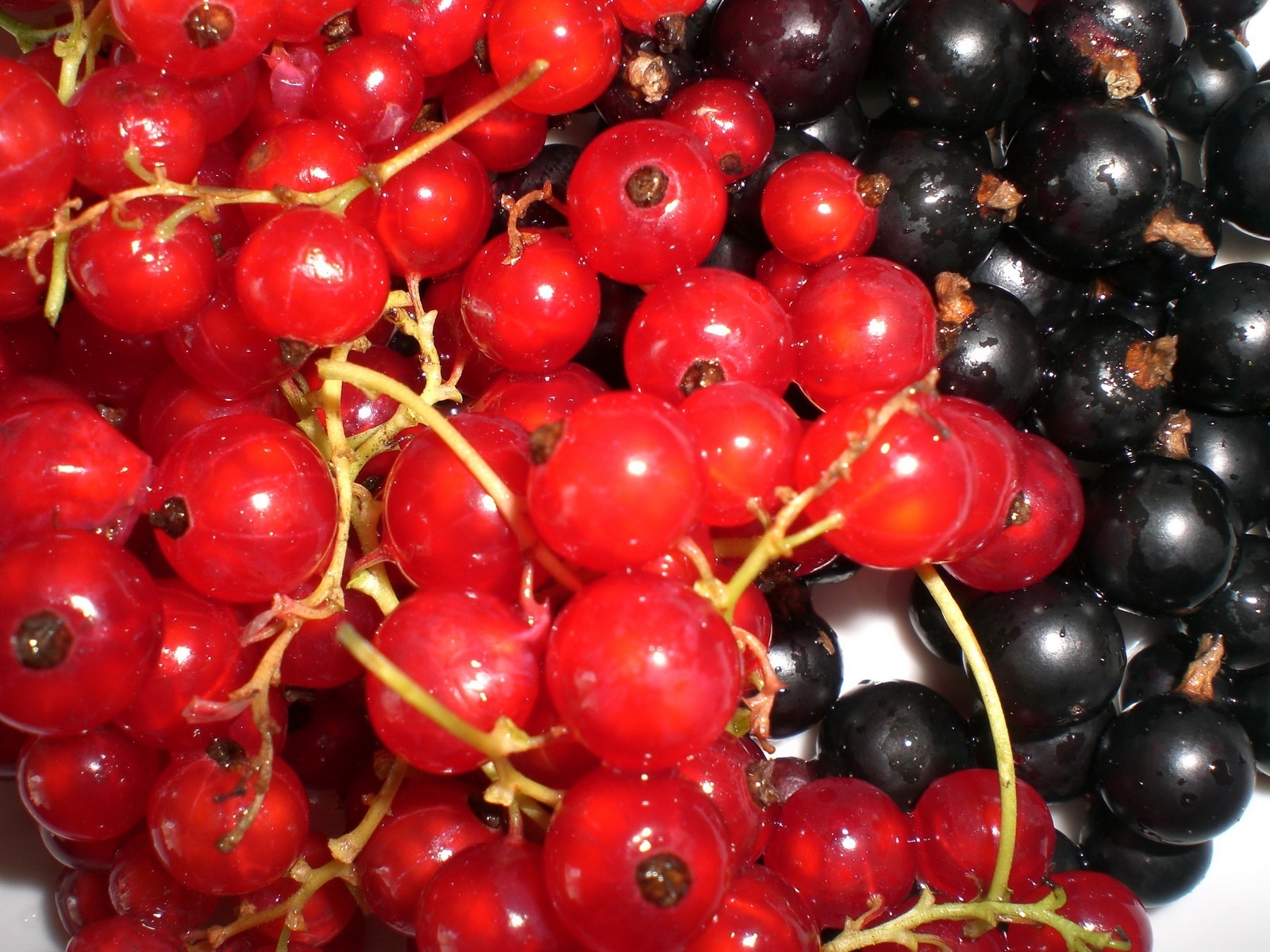 Free download wallpaper Berries, Fruits, Food on your PC desktop