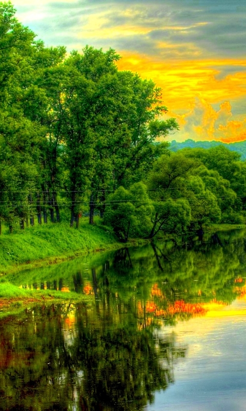 Скачать картинку Река, Отражение, Дерево, Земля, Зеленый, Земля/природа в телефон бесплатно.