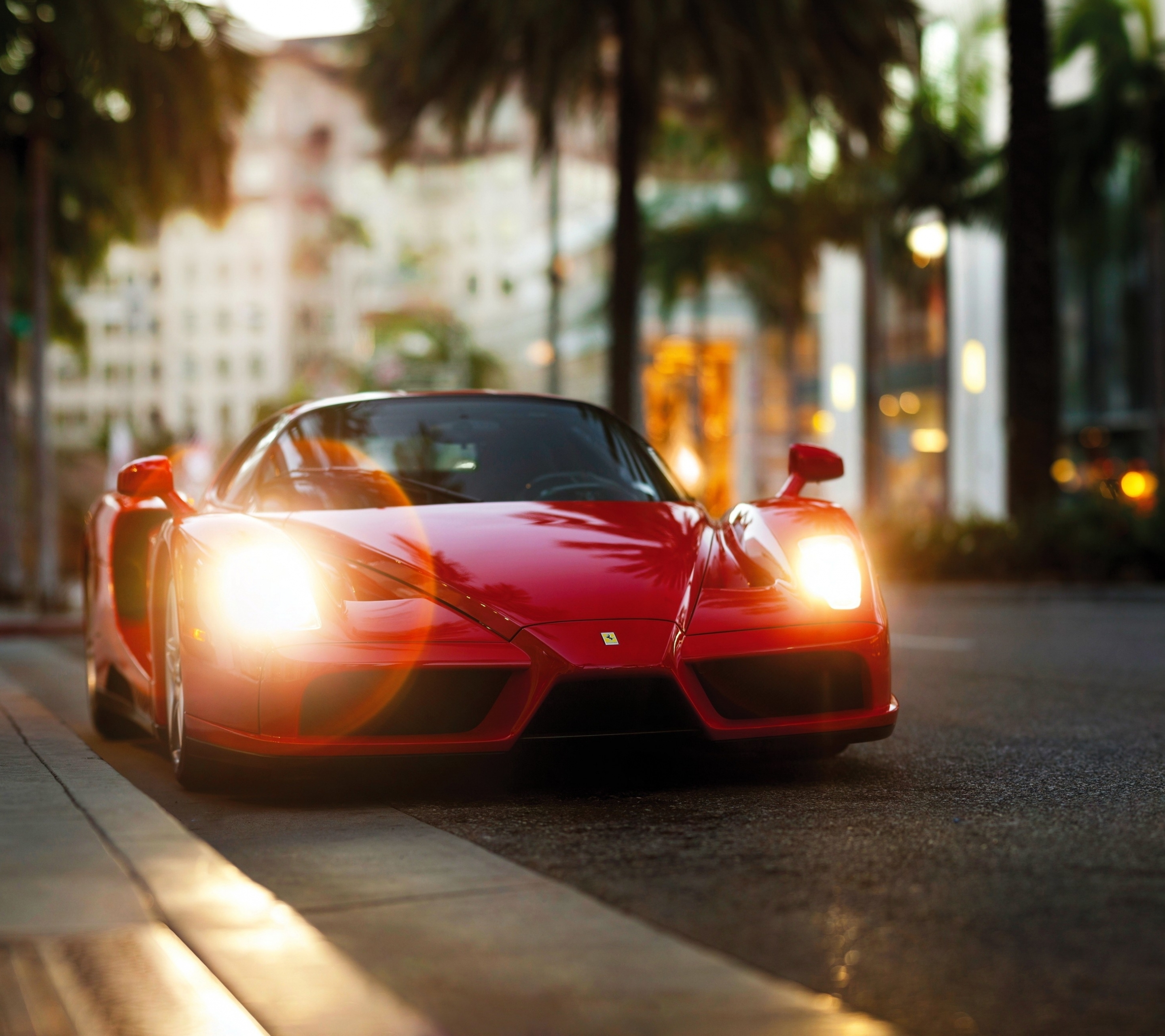 Laden Sie das Auto, Ferrari, Autos, Fahrzeuge-Bild kostenlos auf Ihren PC-Desktop herunter