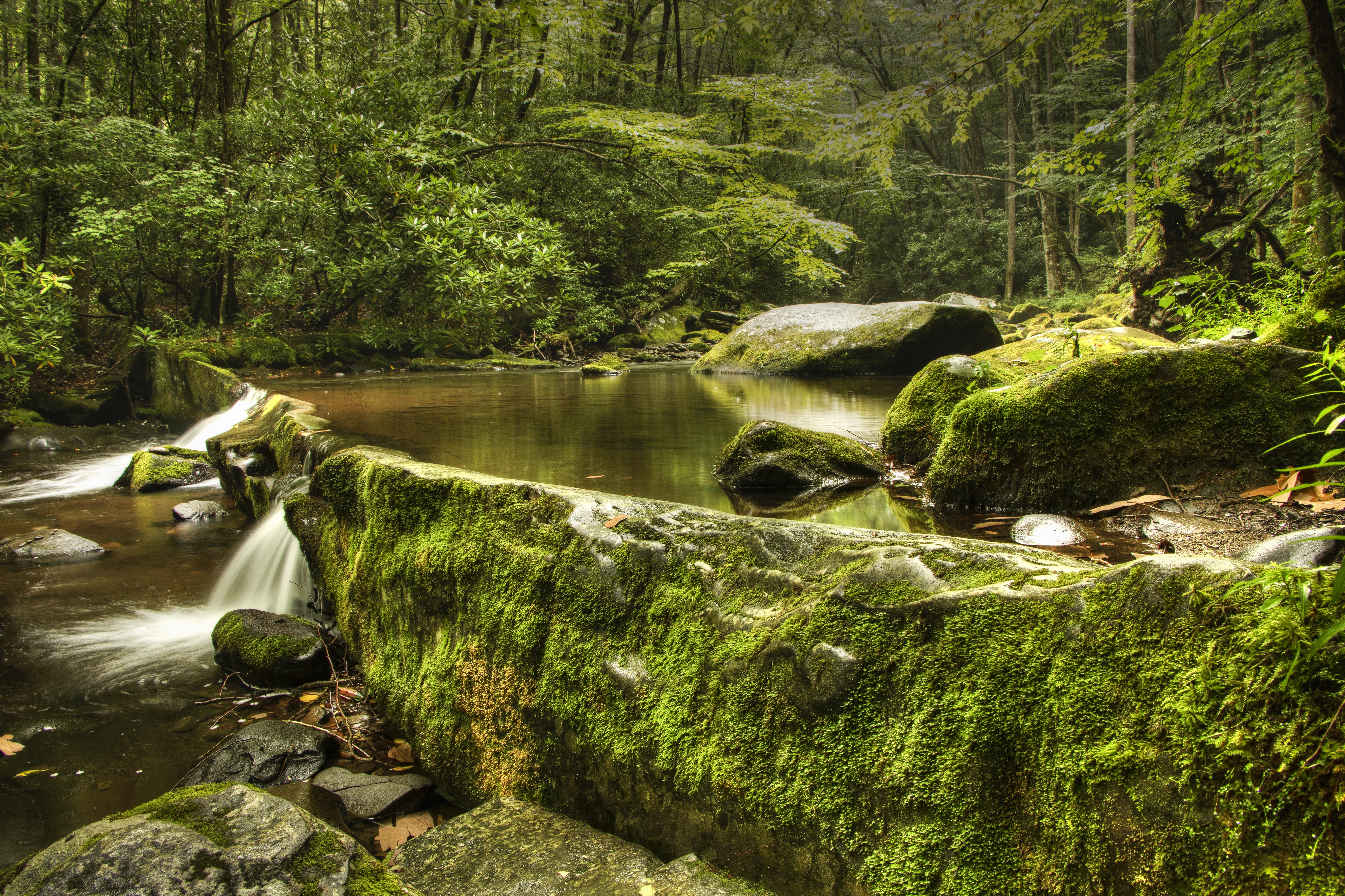 Free download wallpaper Nature, Earth, Moss, Stream on your PC desktop