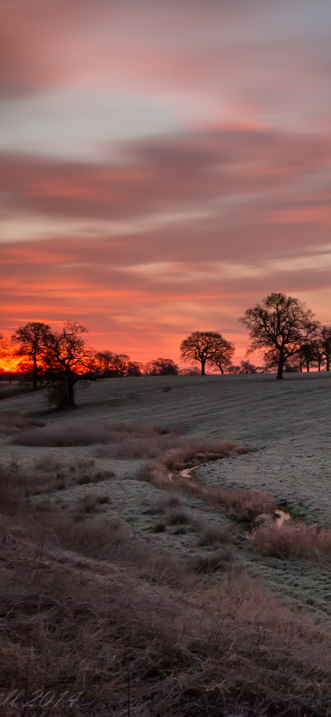 Descarga gratuita de fondo de pantalla para móvil de Oscuridad, Atardecer, Tierra/naturaleza.