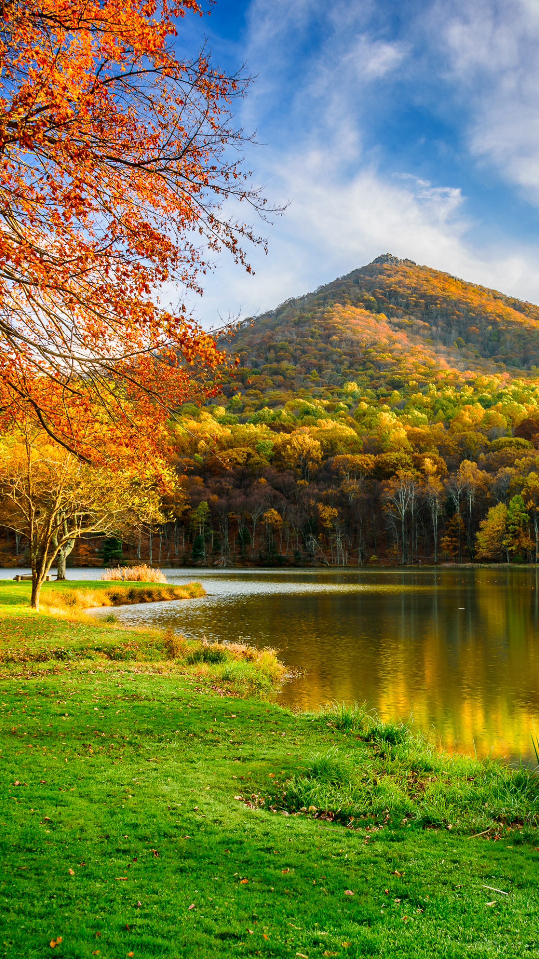 無料モバイル壁紙風景, 川, 木, 秋, 山, 森, 地球をダウンロードします。