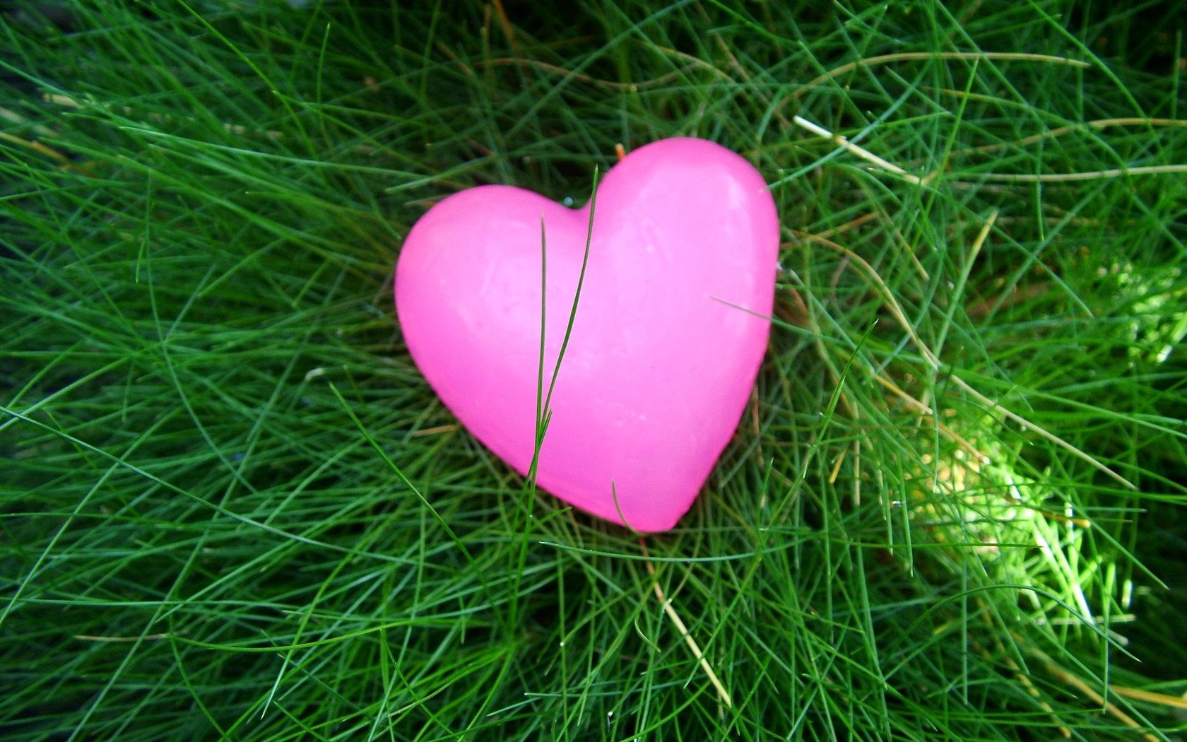 Laden Sie das Grass, Liebe, Hell, Bunten, Bunt, Herzen, Ein Herz-Bild kostenlos auf Ihren PC-Desktop herunter