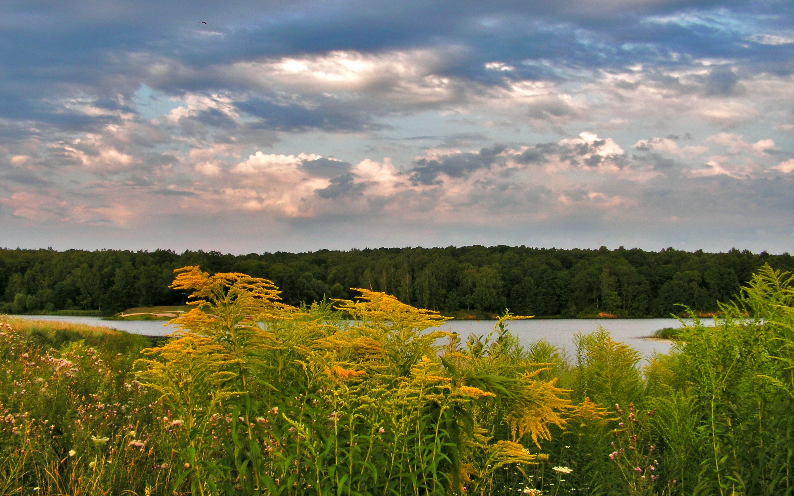 Handy-Wallpaper Landschaft, Erde/natur kostenlos herunterladen.