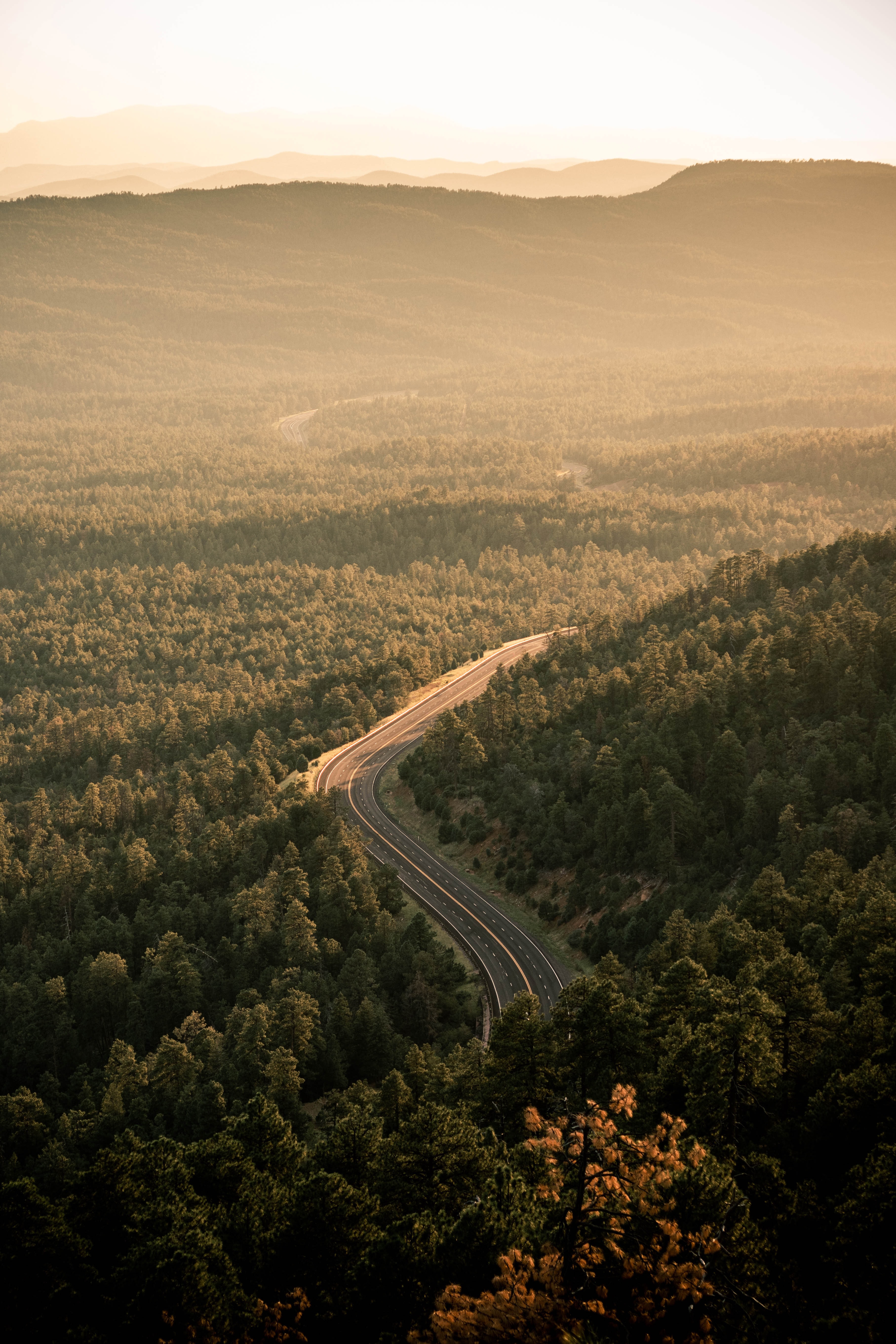 Download mobile wallpaper Road, View From Above, Markup, Forest, Nature for free.