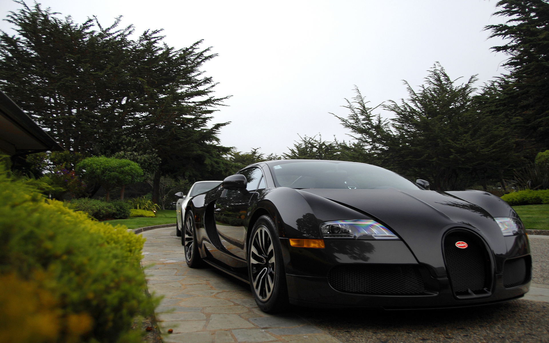Baixe gratuitamente a imagem Bugatti, Bugatti Veyron, Veículos na área de trabalho do seu PC