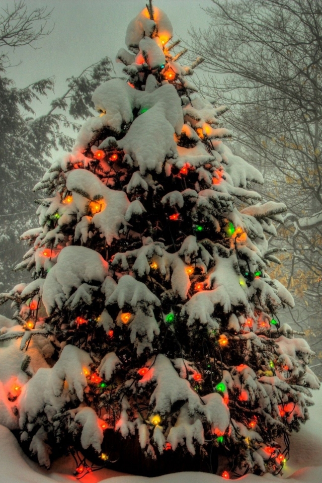 Download mobile wallpaper Snow, Christmas, Holiday, Christmas Tree, Christmas Lights for free.