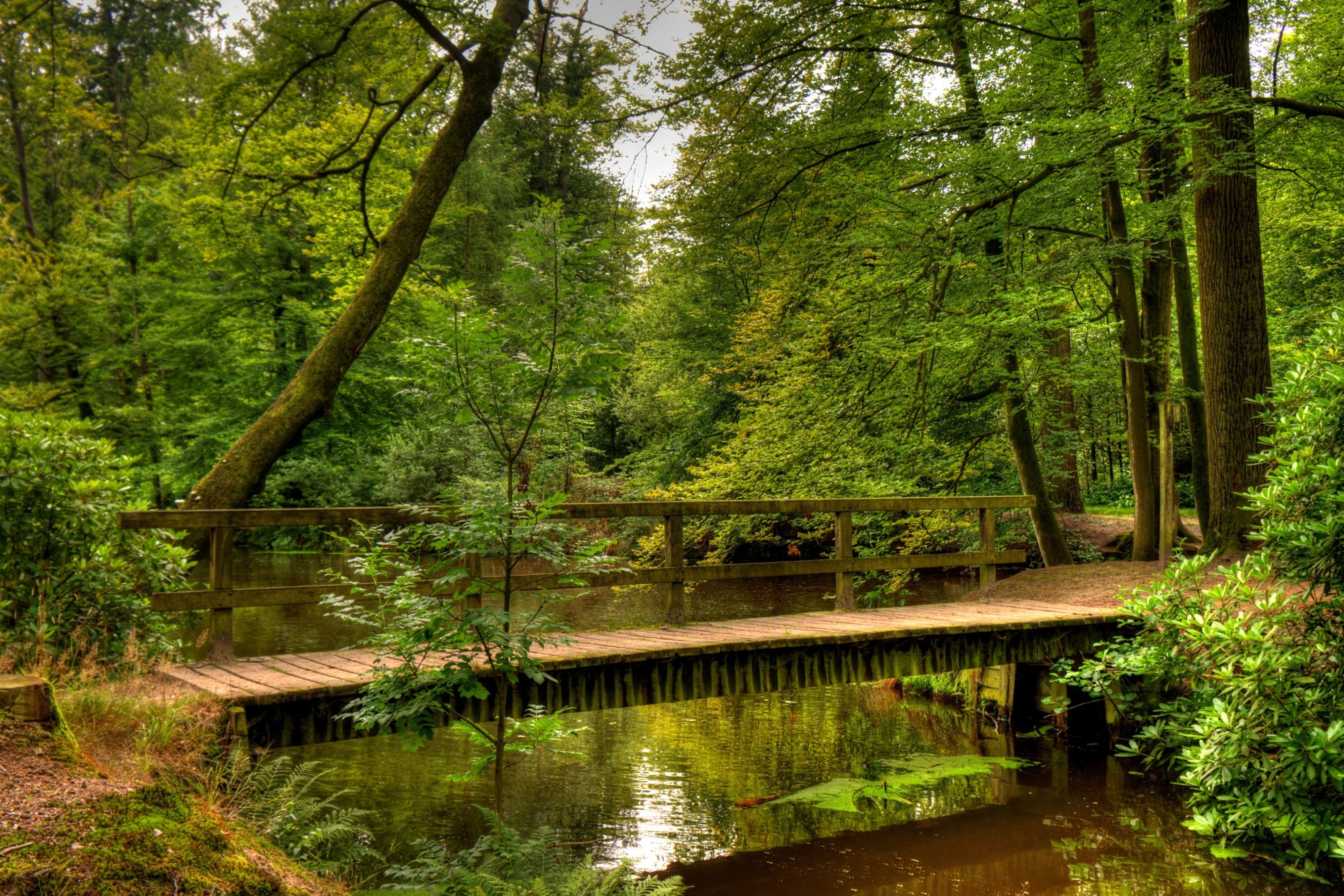 Free download wallpaper Bridges, Wood, Bridge, Stream, Netherlands, Man Made on your PC desktop