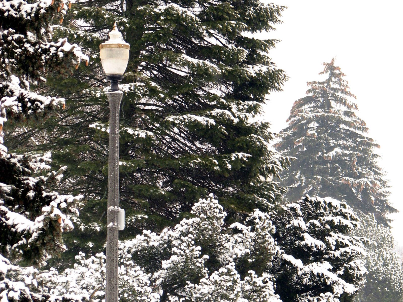 Free download wallpaper Winter, Nature, Trees, Park, Lamp, Lantern on your PC desktop