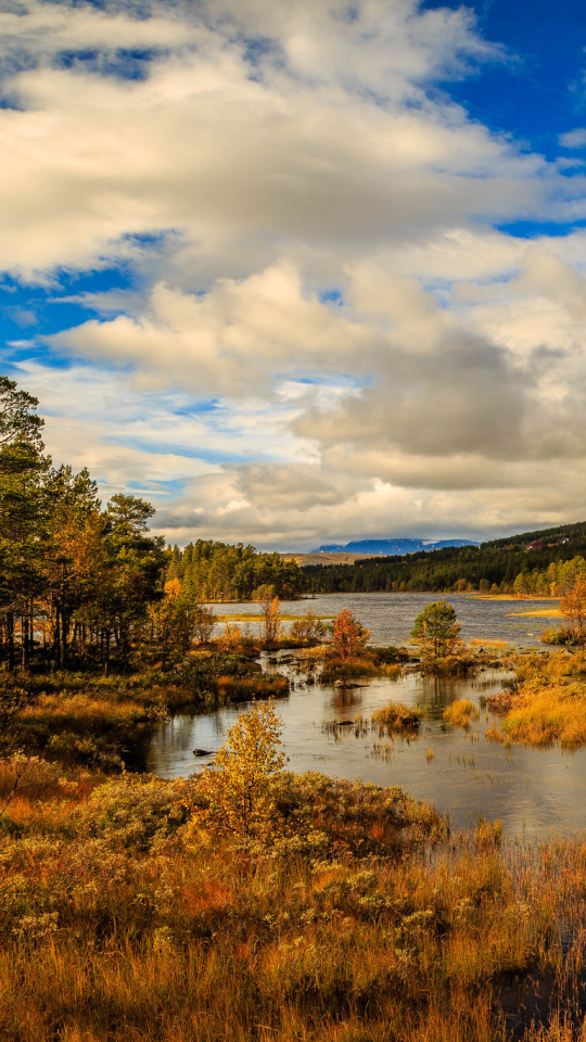 Download mobile wallpaper Landscape, Nature, Tree, Fall, Earth, Norway, Cloud, River for free.