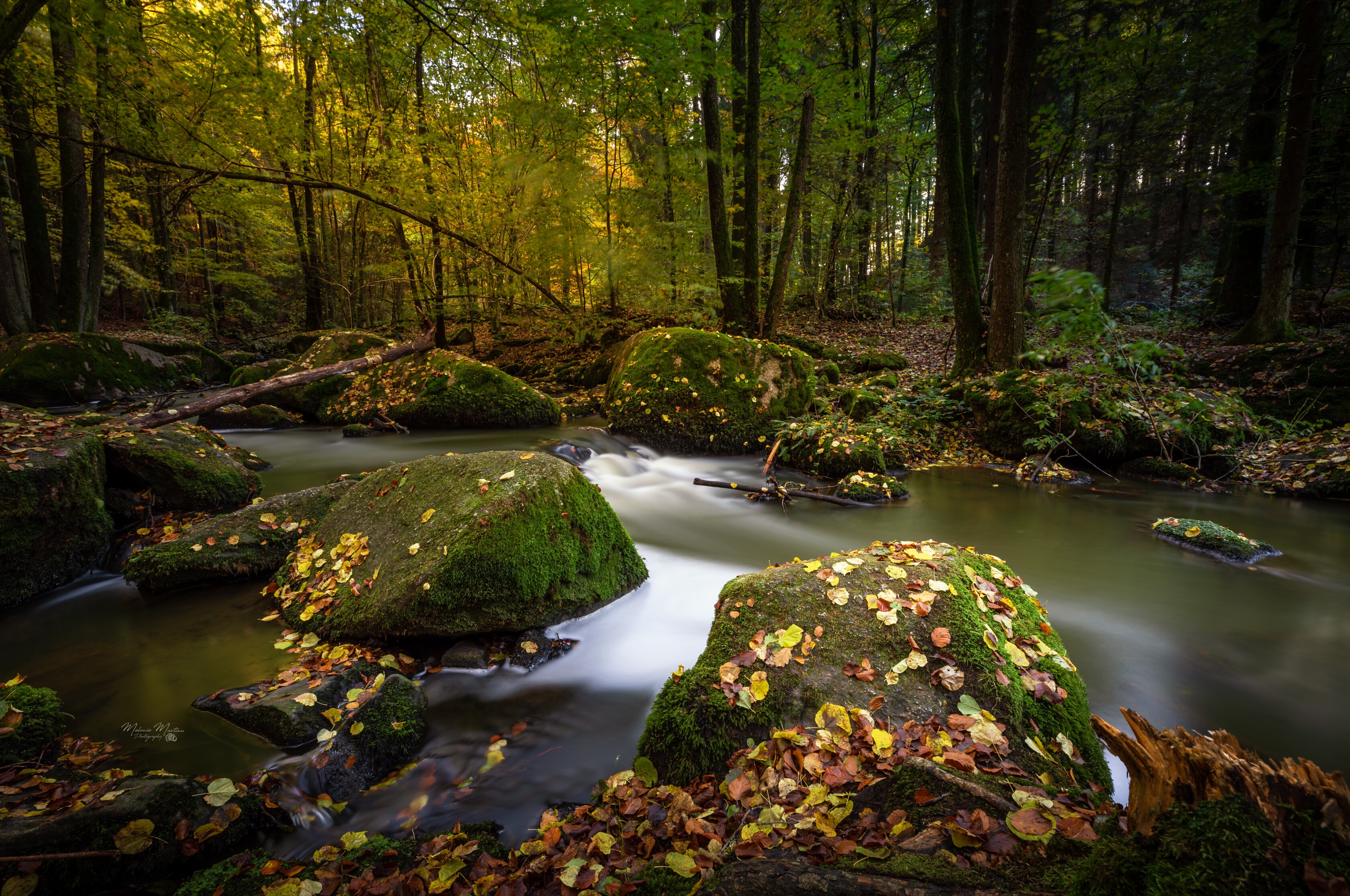 Download mobile wallpaper Nature, Forest, Fall, Earth, Stone, Moss, River for free.