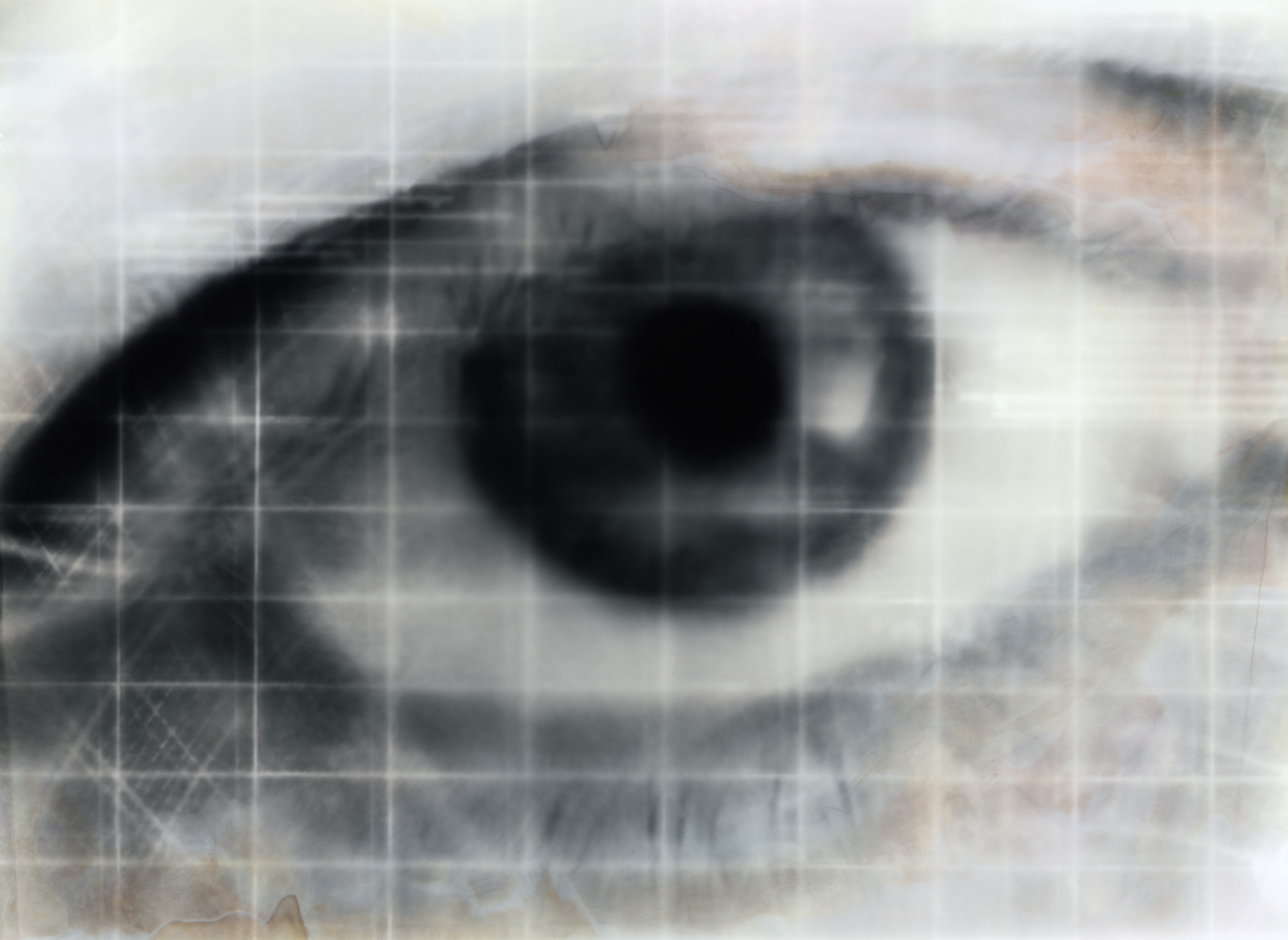 Eye cellphone Wallpaper