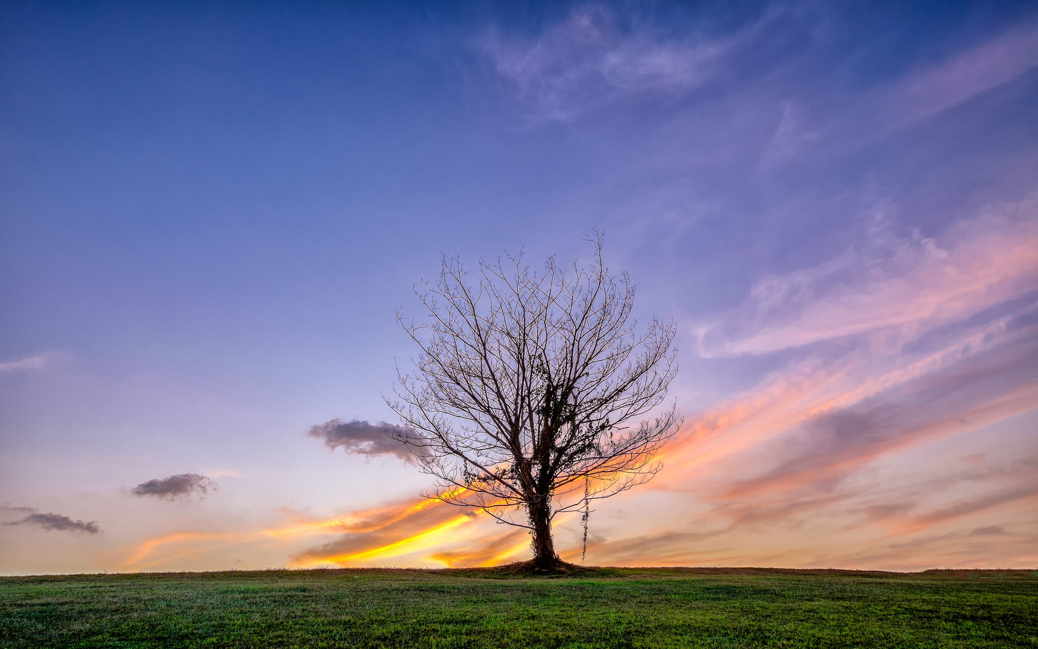 Laden Sie das Natur, Bäume, Baum, Himmel, Erde/natur, Einsamer Baum-Bild kostenlos auf Ihren PC-Desktop herunter