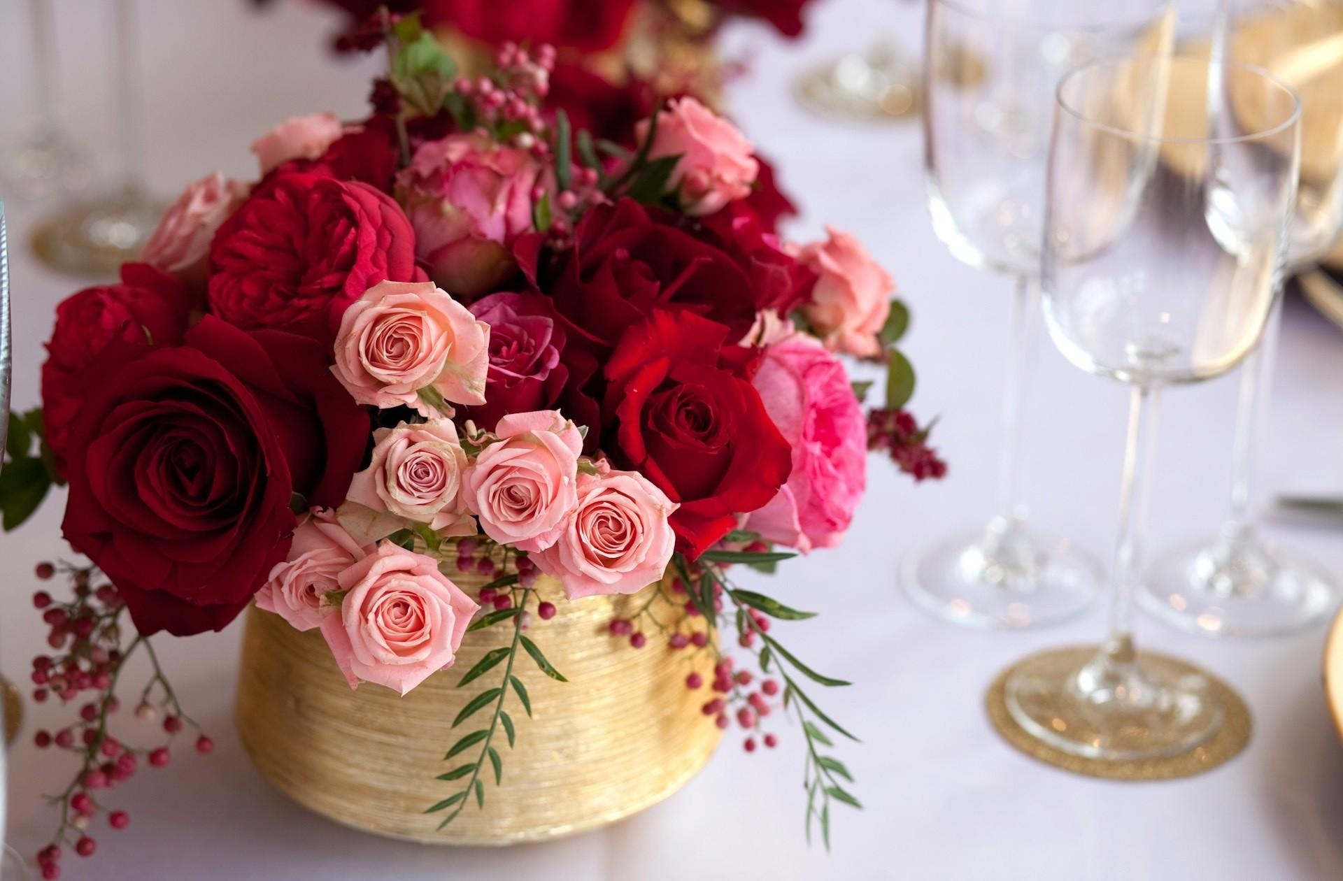 Handy-Wallpaper Blume, Rose, Erde, Rote Blume, Menschengemacht, Pinke Blume kostenlos herunterladen.