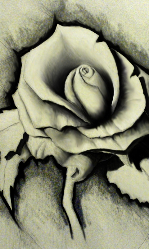 Download mobile wallpaper Rose, Drawing, Artistic for free.