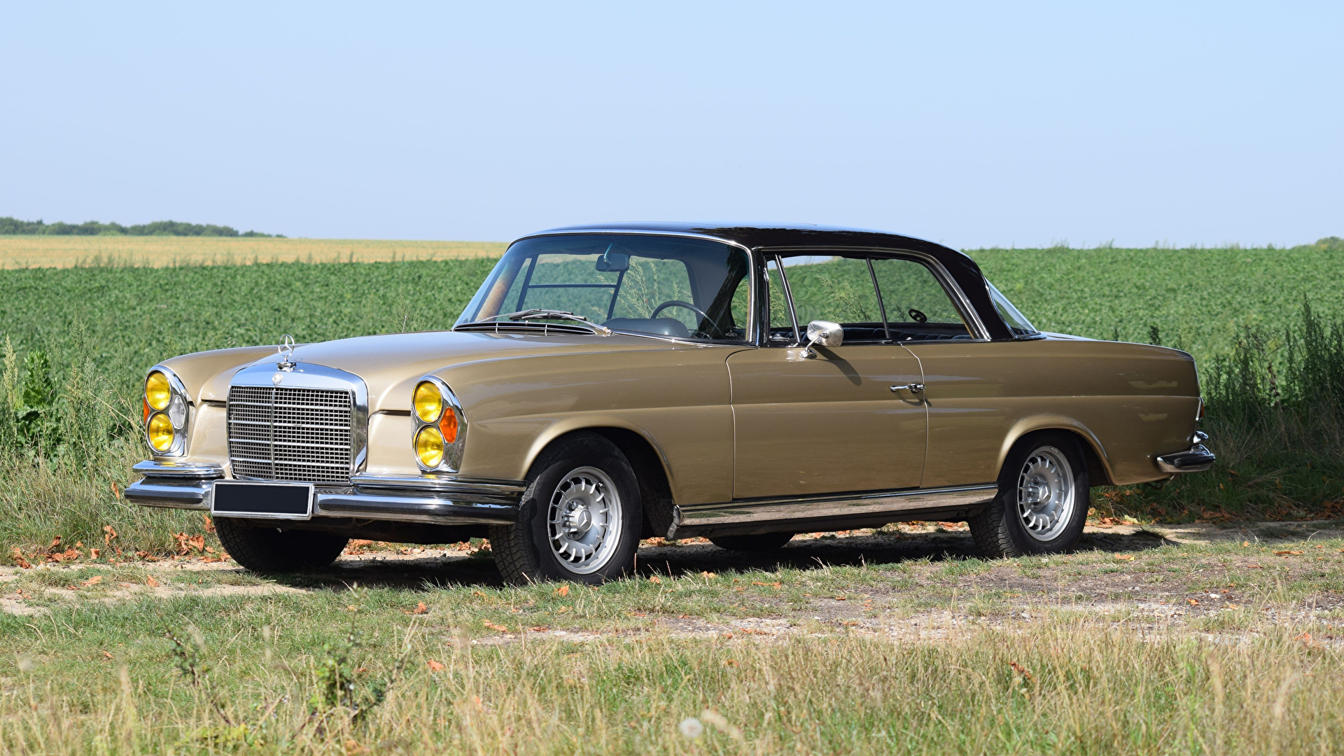 Завантажити шпалери Mercedes Benz W108 на телефон безкоштовно