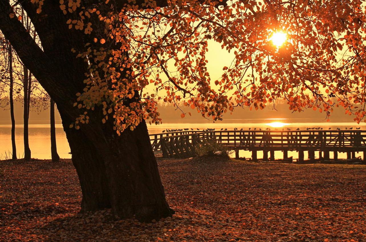 Free download wallpaper Fall, Photography on your PC desktop