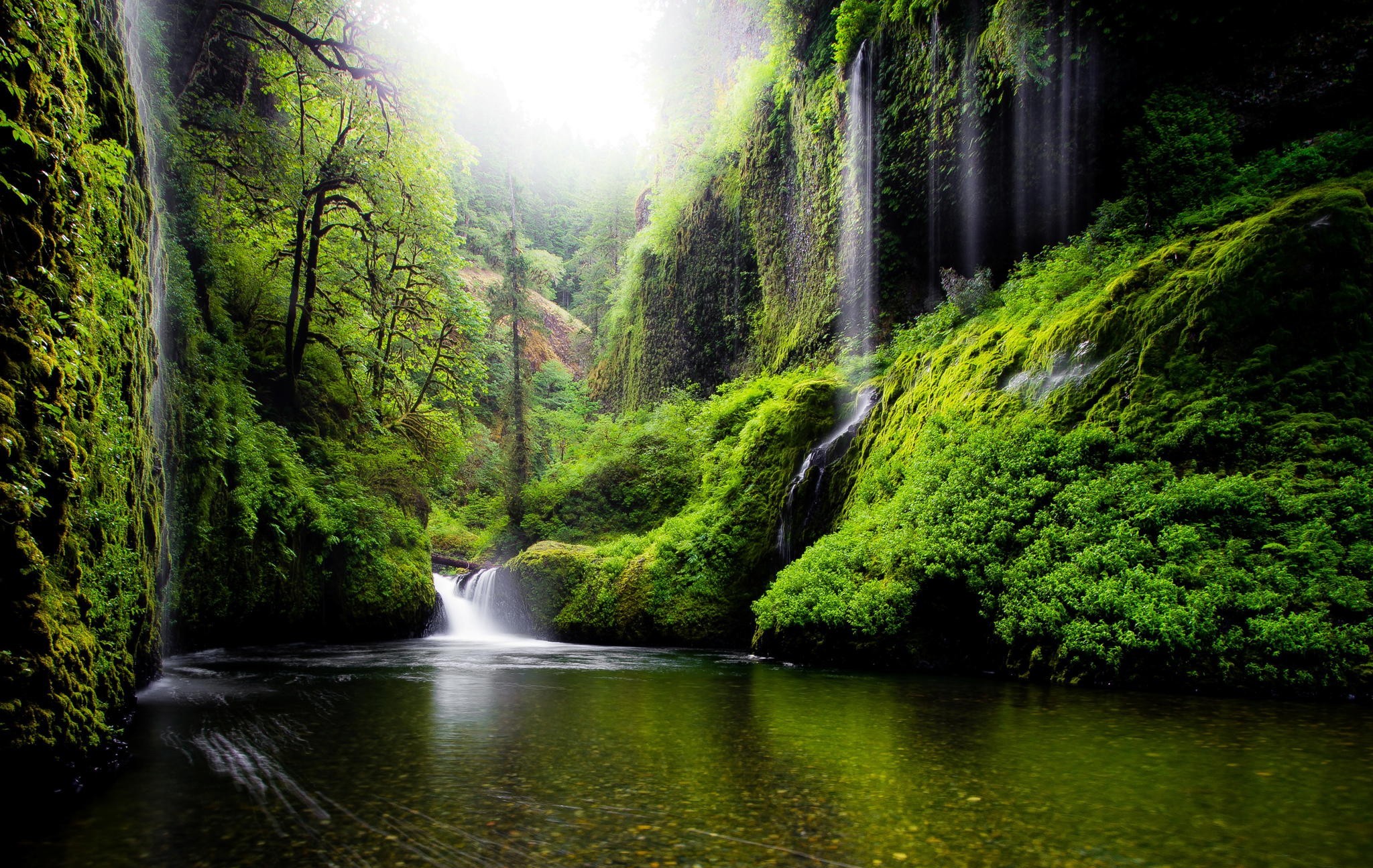 Скачать картинку Мох, Зеленый, Водопад, Водопады, Лес, Земля/природа в телефон бесплатно.