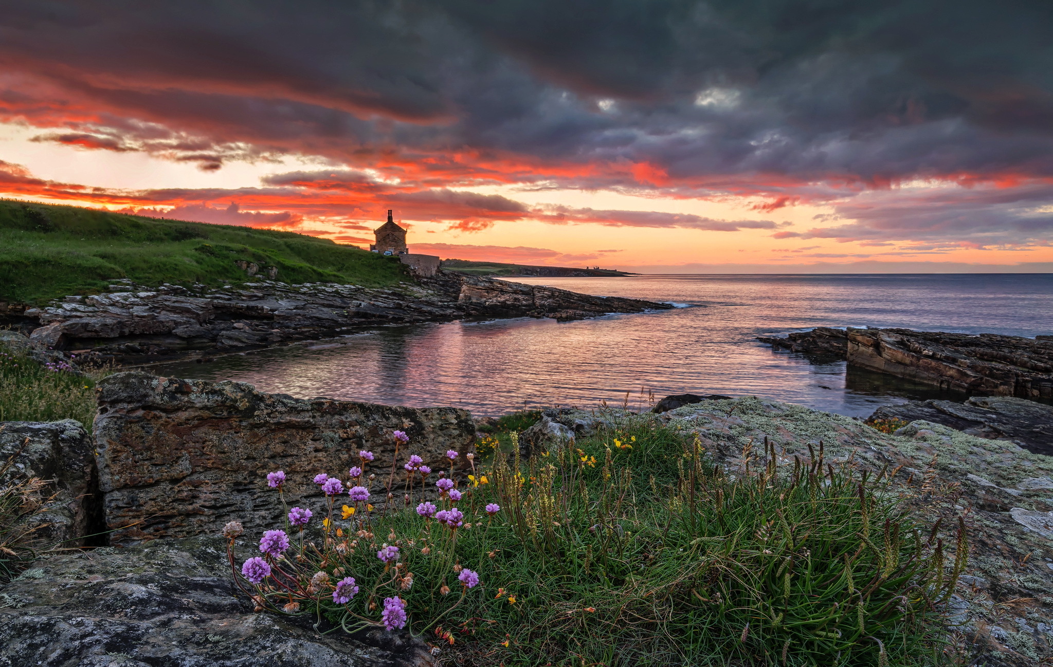 Free download wallpaper Sky, Horizon, Flower, Coast, Ocean, Cloud, Coastline, Photography on your PC desktop