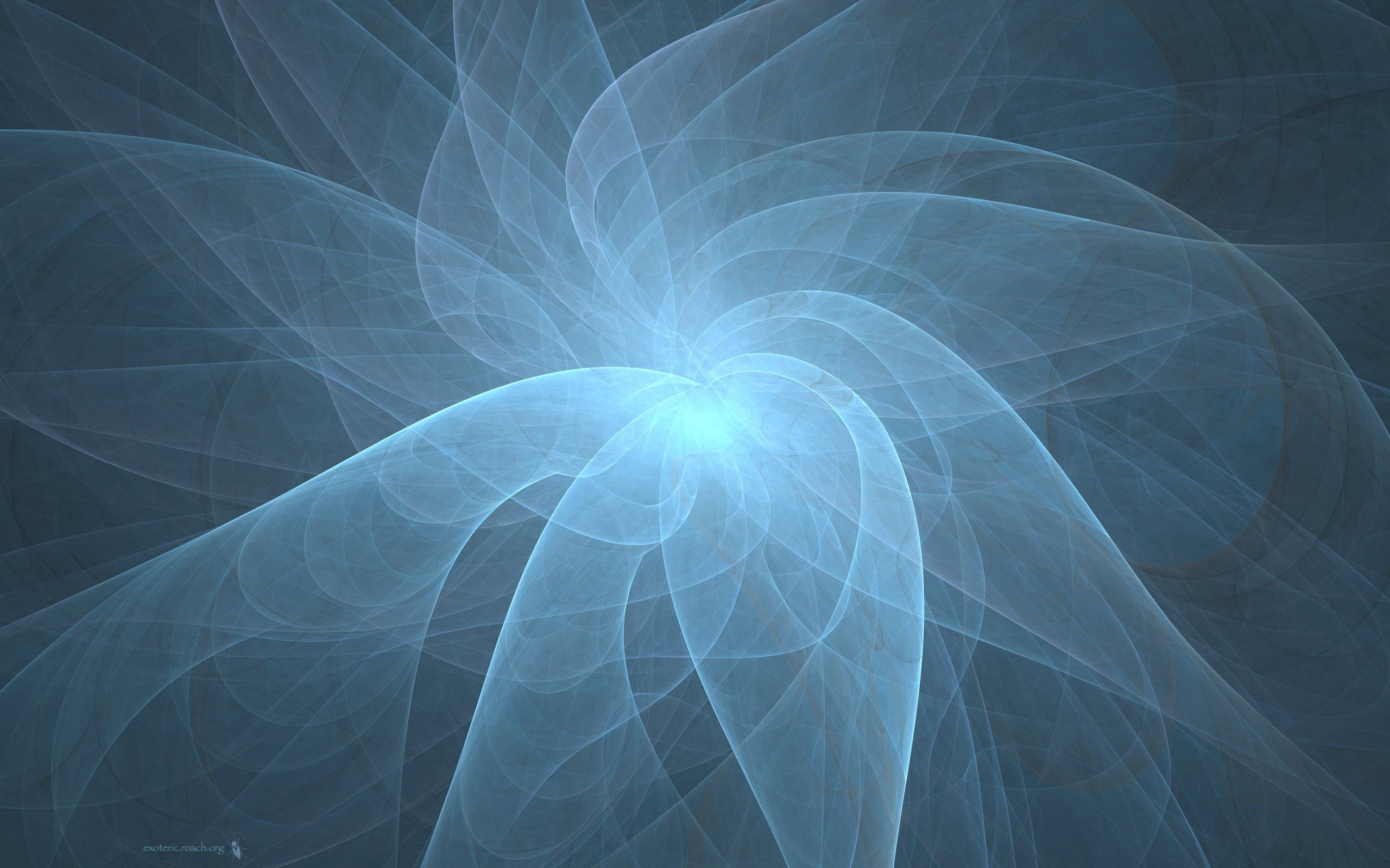Free download wallpaper Abstract, Petals, Form, Smoke, Rotation on your PC desktop