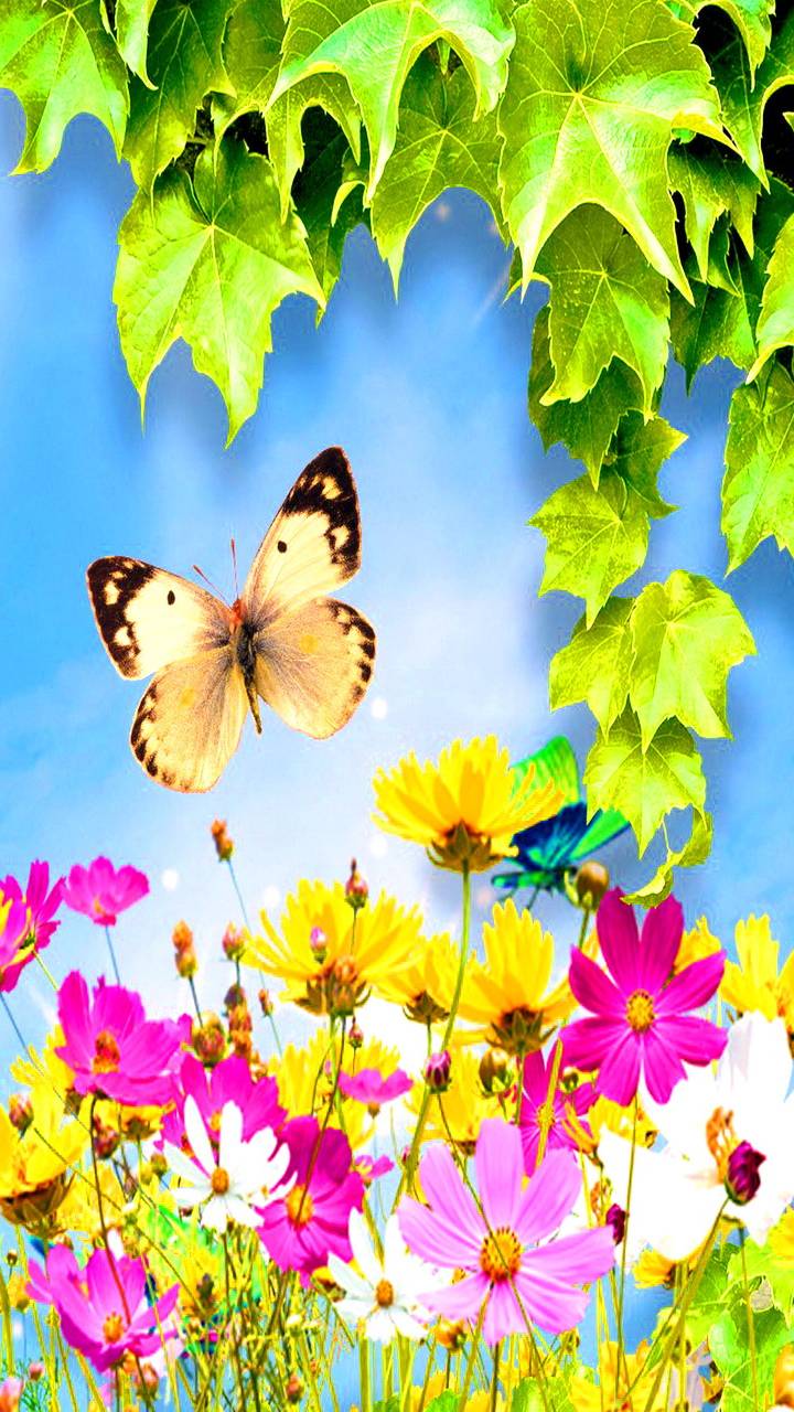 Скачать картинку Цветок, Лист, Бабочка, Листва, Весна, Художественные в телефон бесплатно.
