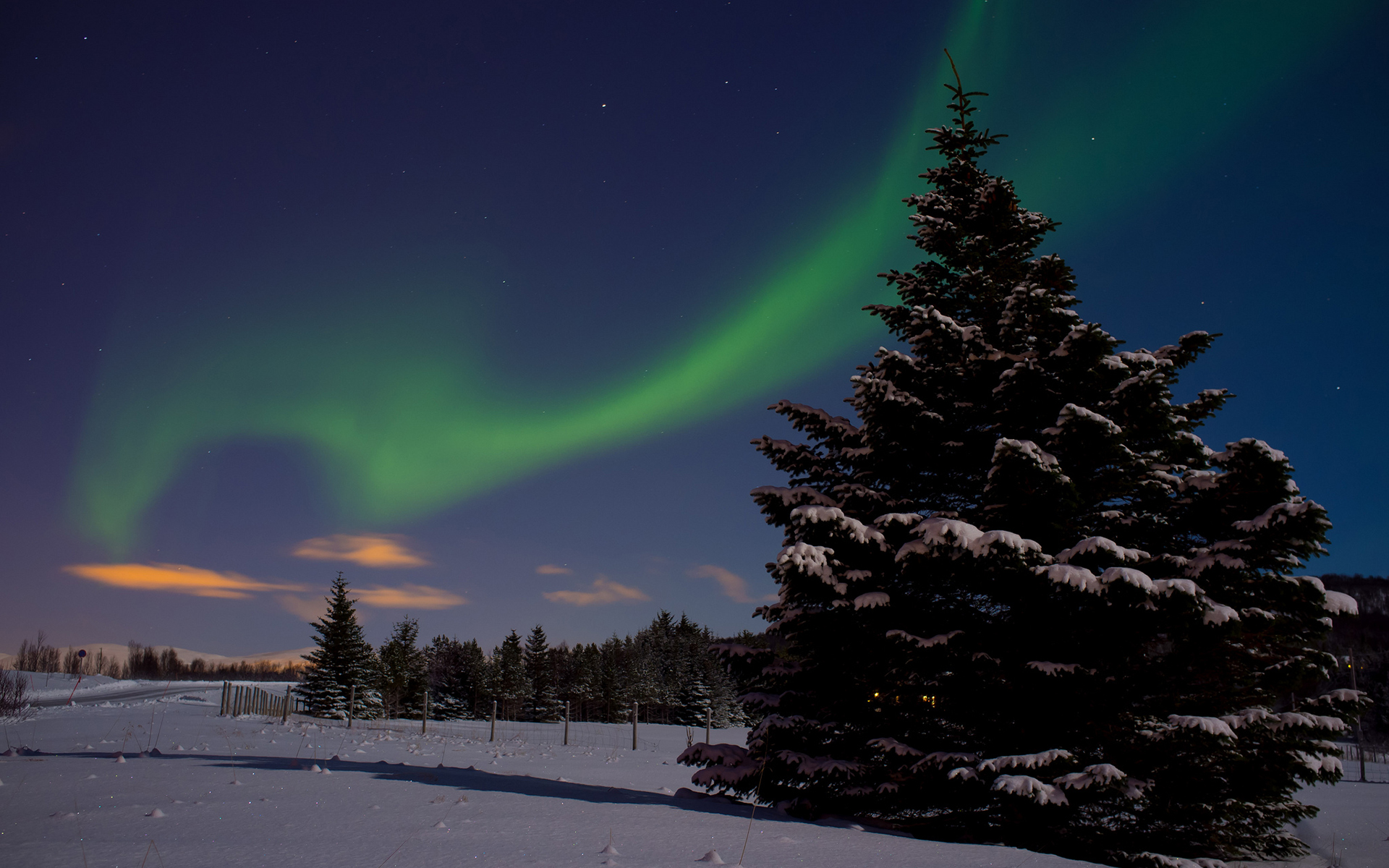 Laden Sie das Schnee, Nacht, Erde/natur, Nordlicht-Bild kostenlos auf Ihren PC-Desktop herunter