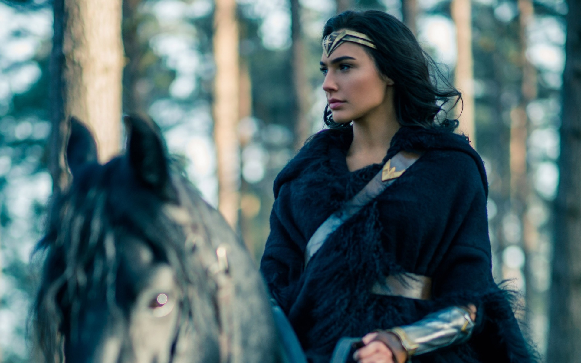 Laden Sie das Filme, Gal Gadot, Wonder Woman-Bild kostenlos auf Ihren PC-Desktop herunter