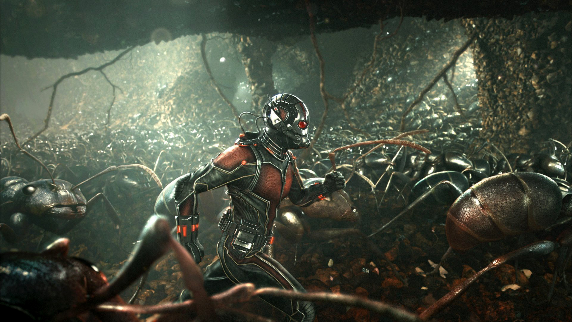 Download mobile wallpaper Movie, Ant Man for free.