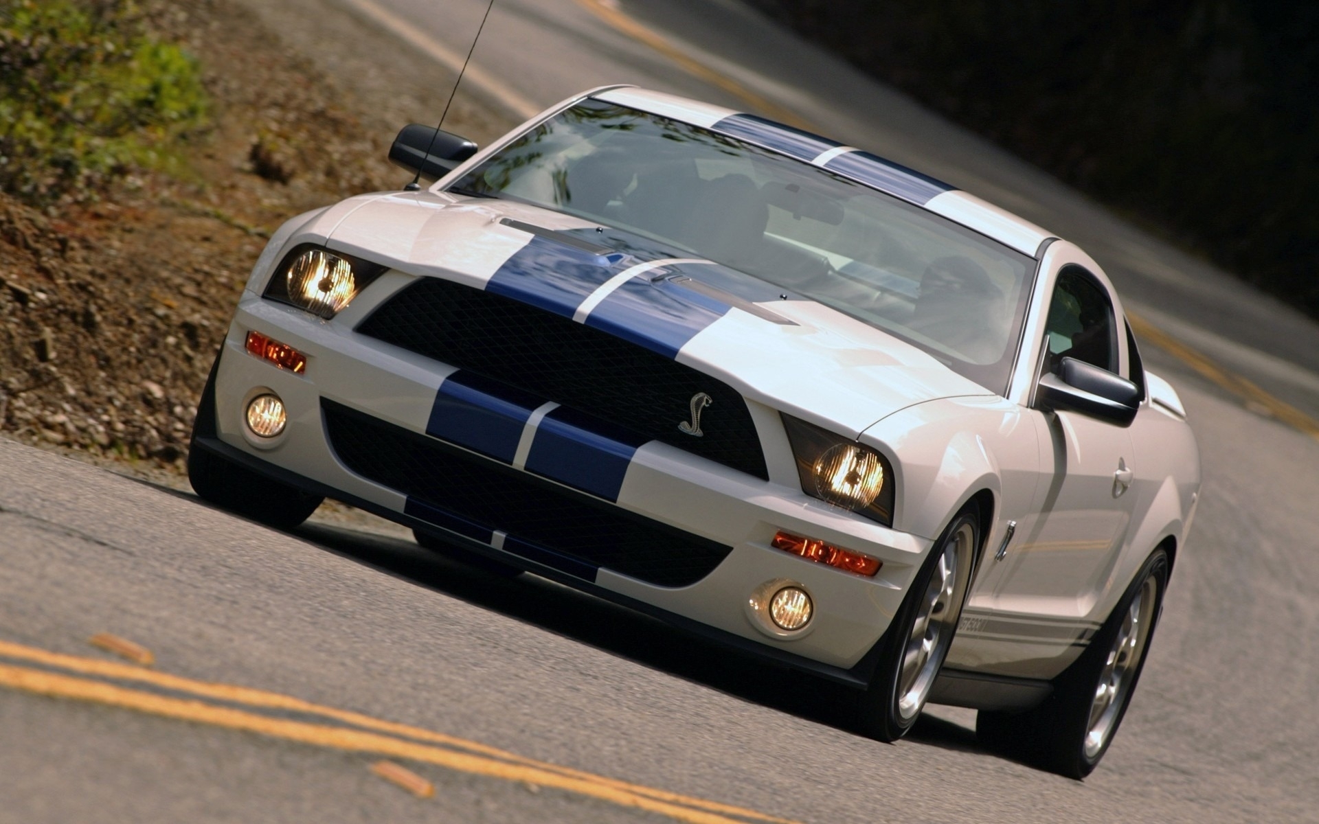 Cool Wallpapers transport, auto, mustang