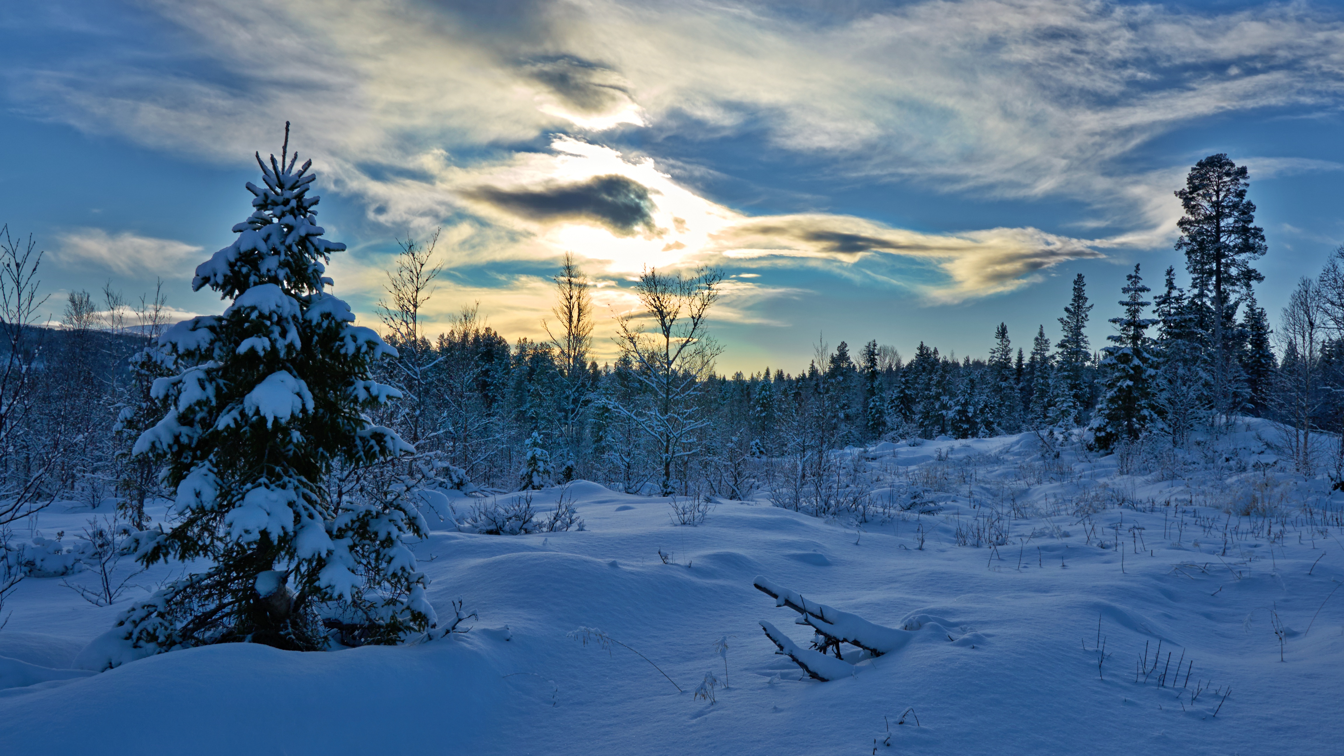 Download mobile wallpaper Winter, Nature, Sky, Snow, Tree, Earth, Cloud for free.