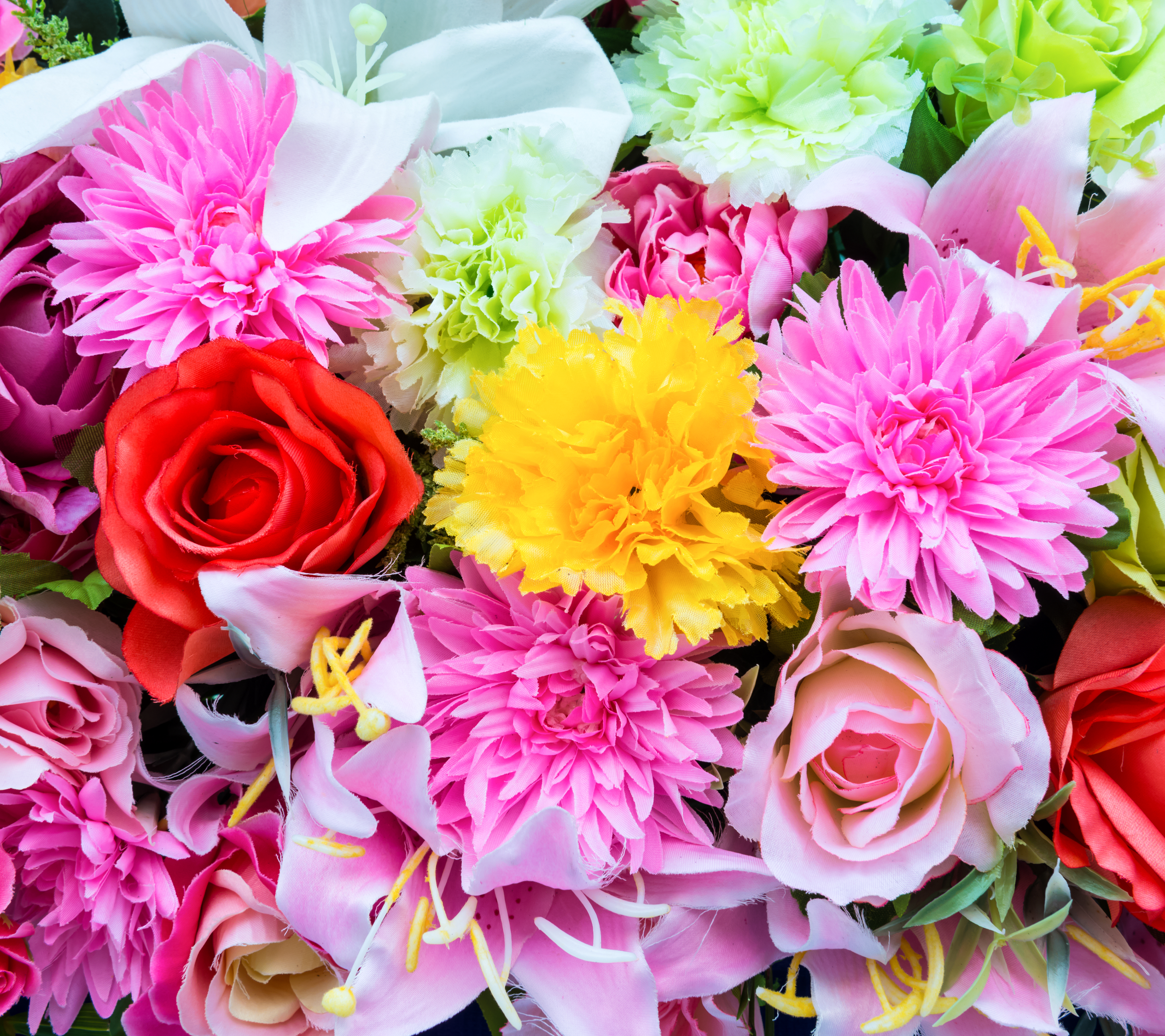 Handy-Wallpaper Blumen, Blume, Rose, Farben, Dahlien, Bunt, Gelbe Blume, Lila Blume, Rote Blume, Erde/natur kostenlos herunterladen.
