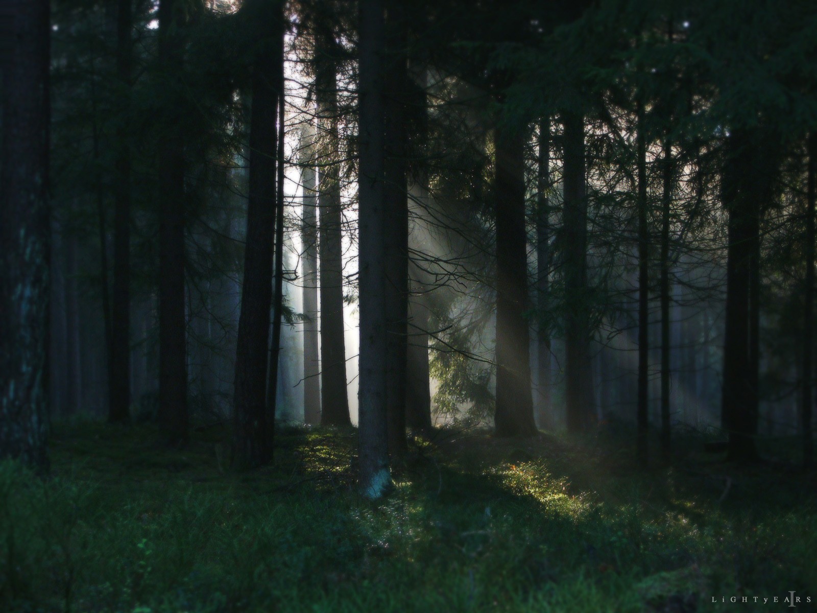 Téléchargez des papiers peints mobile Forêt, Terre, Rayon De Soleil, La Nature, Terre/nature gratuitement.