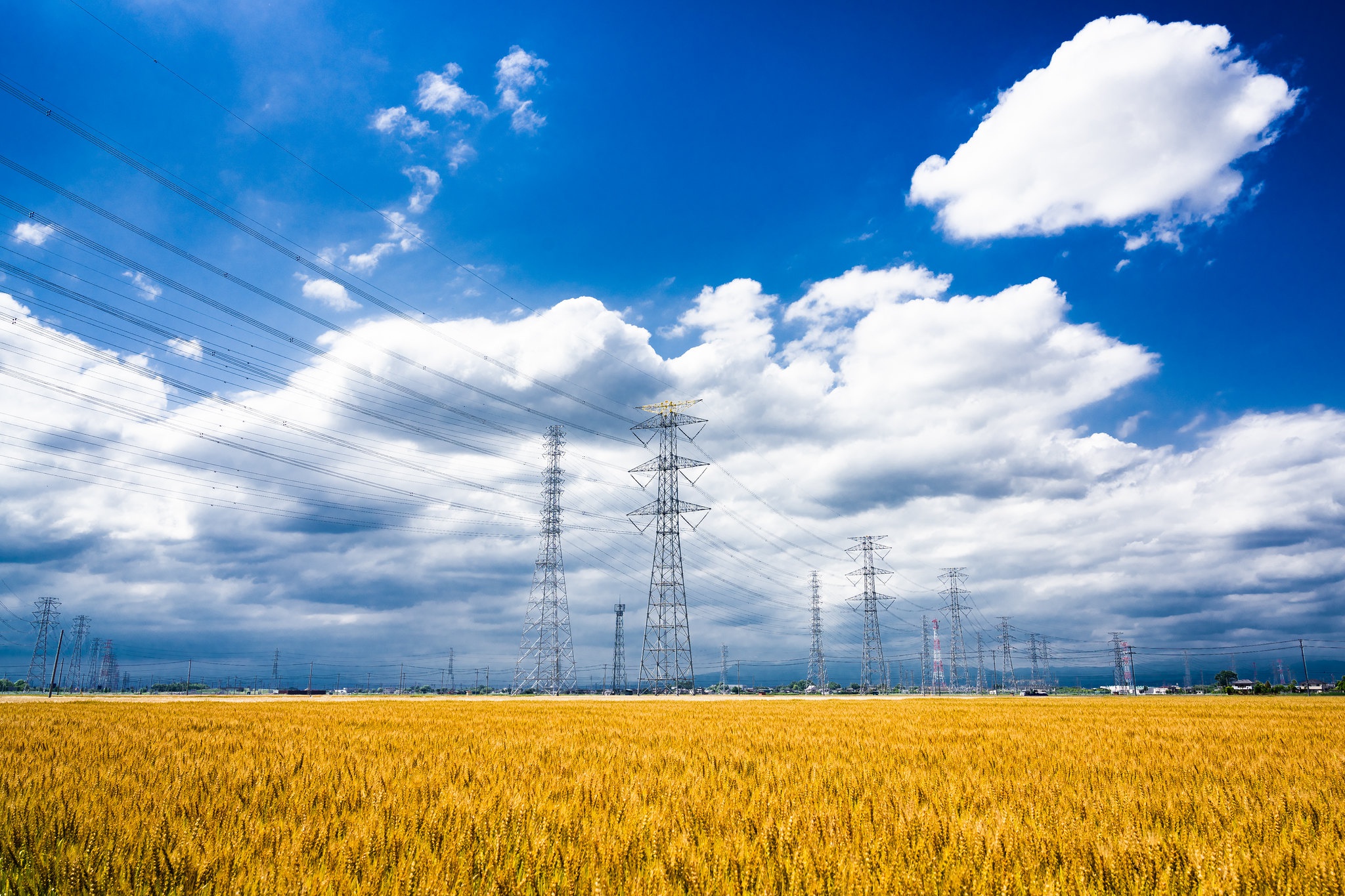 Download mobile wallpaper Sky, Wheat, Field, Cloud, Man Made, Power Line for free.
