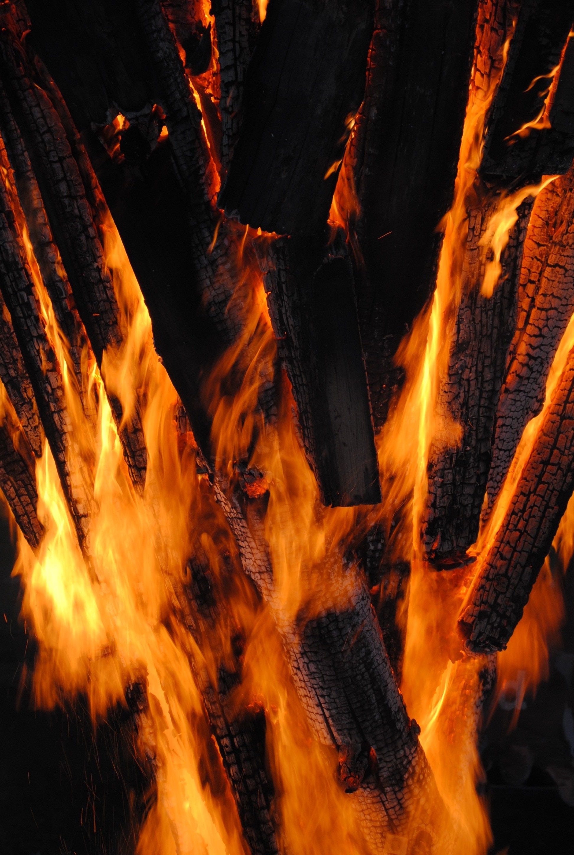 62677 télécharger l'image feu, bonfire, charbons, sombre, flamme, divers, bois de chauffage, bois à brûler - fonds d'écran et économiseurs d'écran gratuits