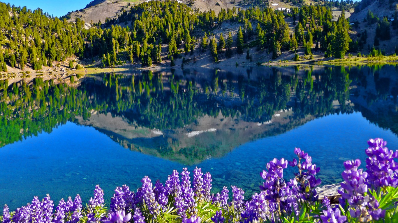 Download mobile wallpaper Lavender, Lakes, Lake, Forest, Earth for free.