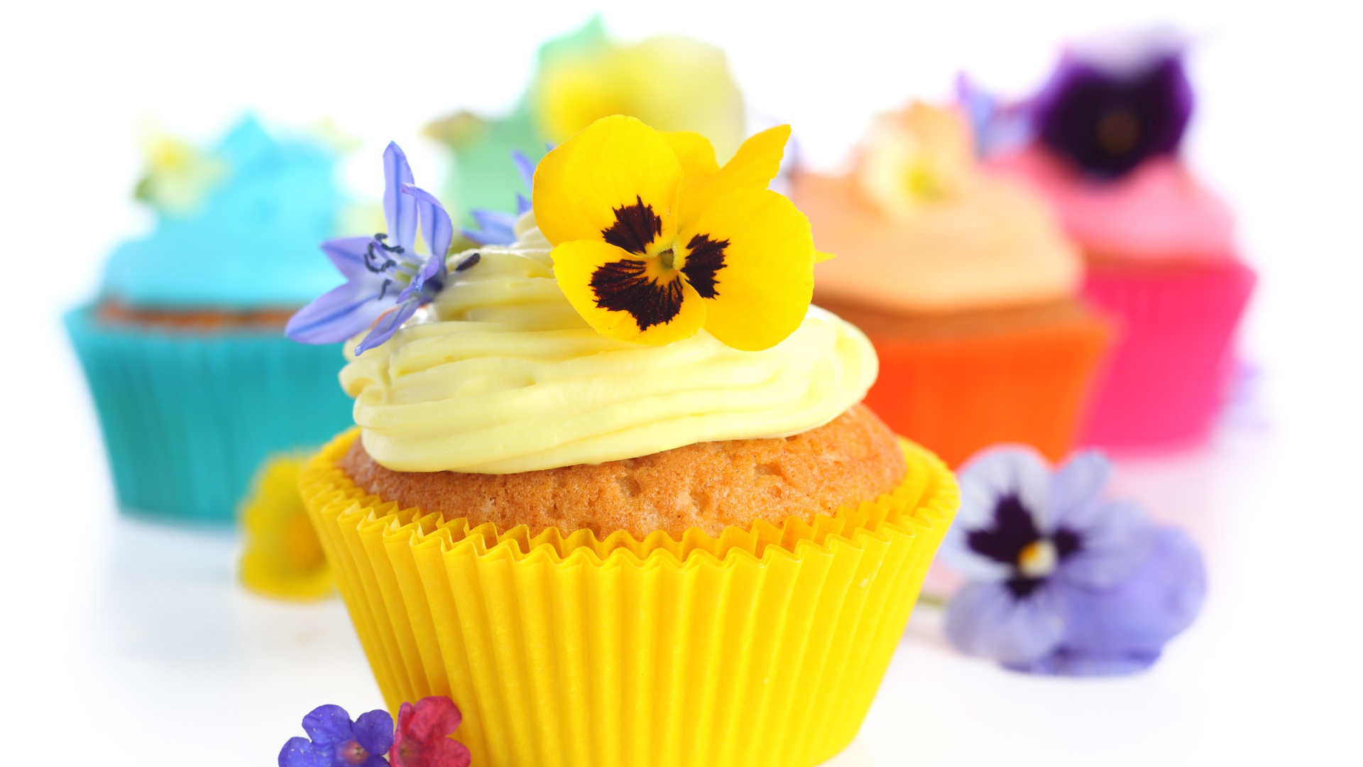 Download mobile wallpaper Food, Dessert, Flower, Cream, Sweets, Cupcake for free.