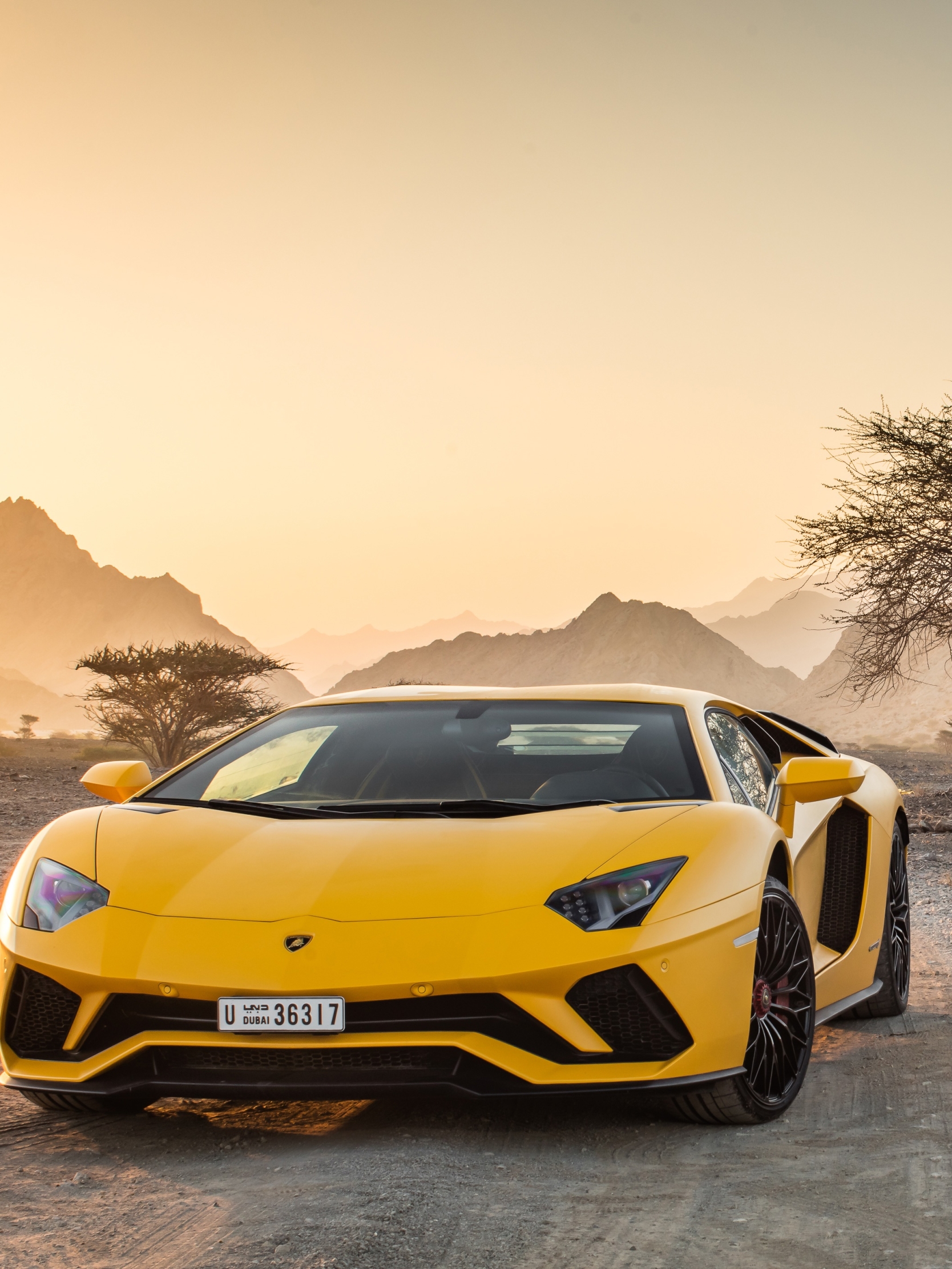 Download mobile wallpaper Lamborghini, Car, Supercar, Lamborghini Aventador, Vehicle, Vehicles, Yellow Car, Lamborghini Aventador S for free.