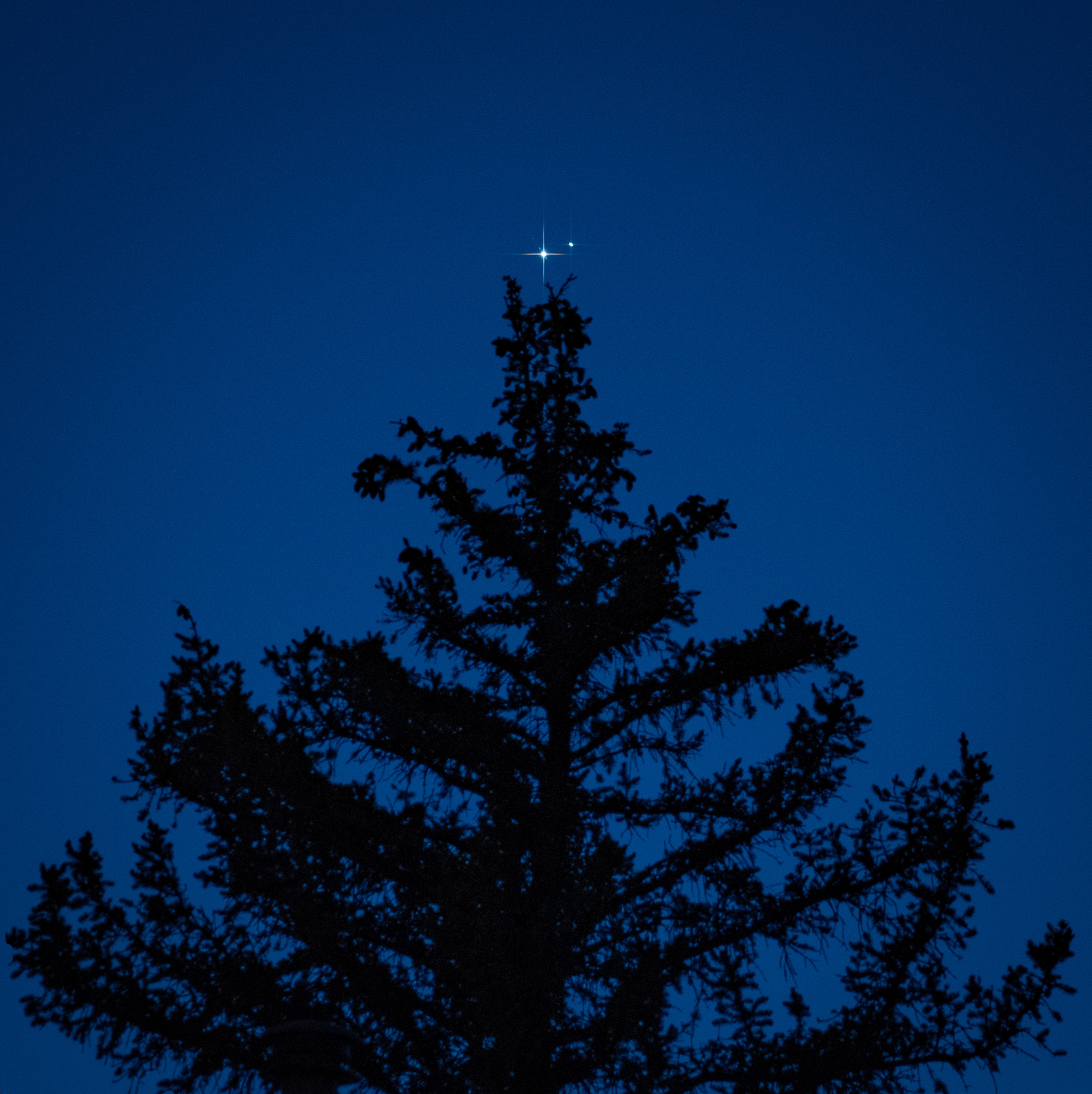 Скачать обои бесплатно Дерево, Звезды, Ночь, Силуэт, Темный, Темные картинка на рабочий стол ПК
