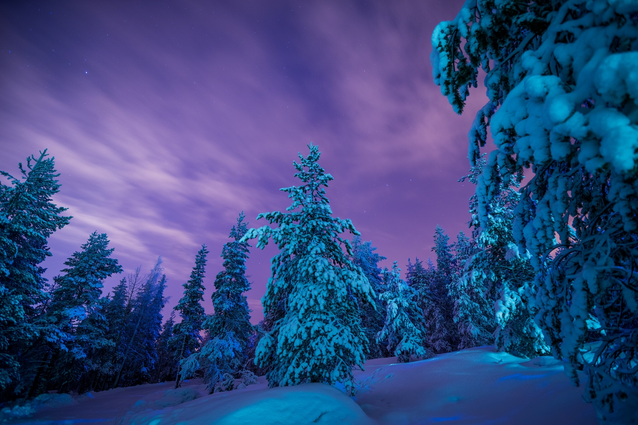 無料モバイル壁紙冬, 自然, 木, 雪, 森, 青い, 地球, 夕暮れをダウンロードします。