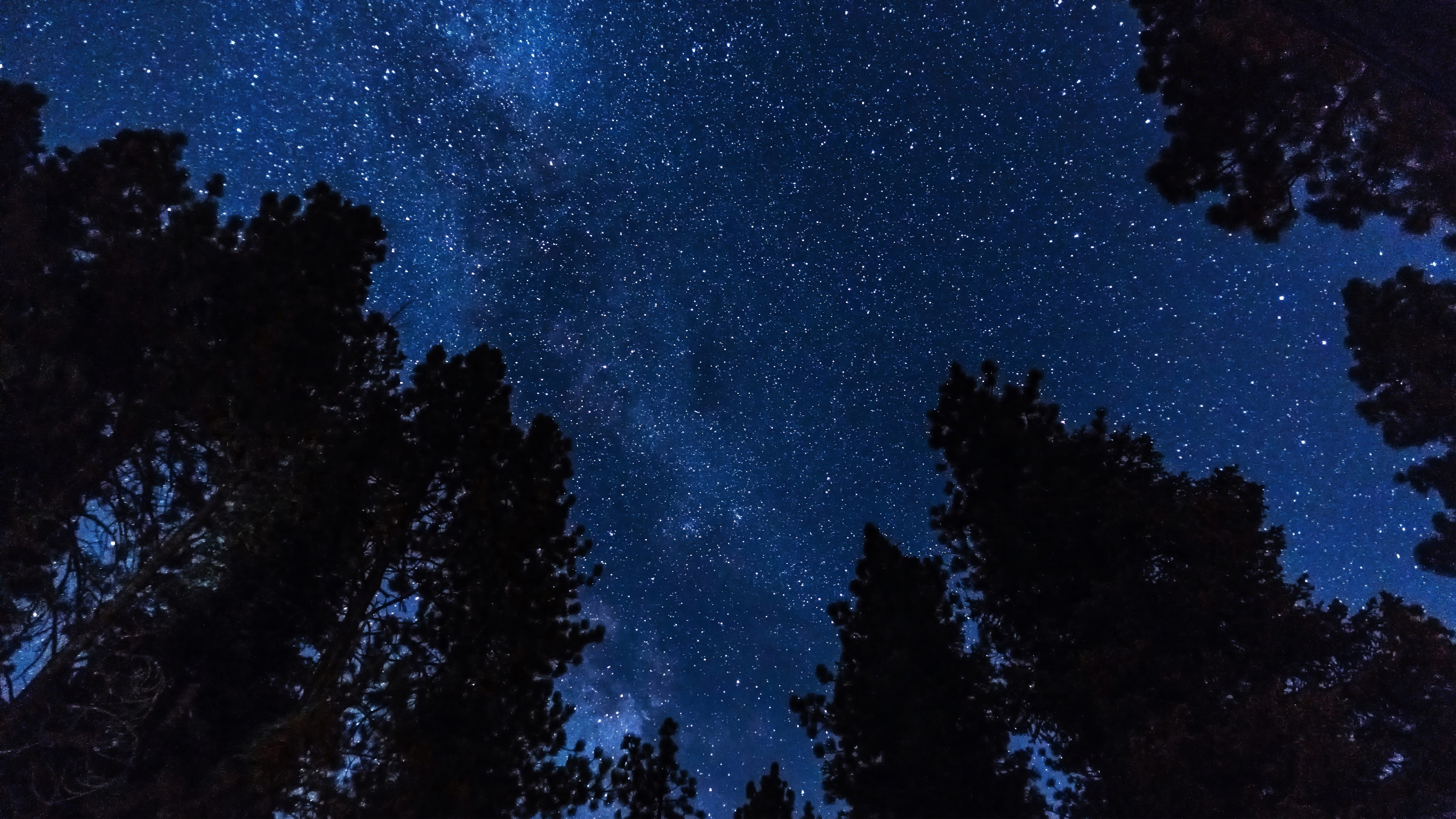 Laden Sie das Bäume, Übernachtung, Sternenhimmel, Sterne, Dunkel-Bild kostenlos auf Ihren PC-Desktop herunter