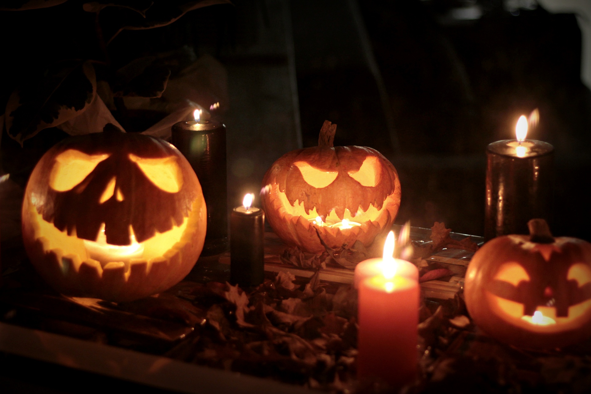 Téléchargez gratuitement l'image Halloween, Vacances, Bougie, Citrouille D'halloween sur le bureau de votre PC