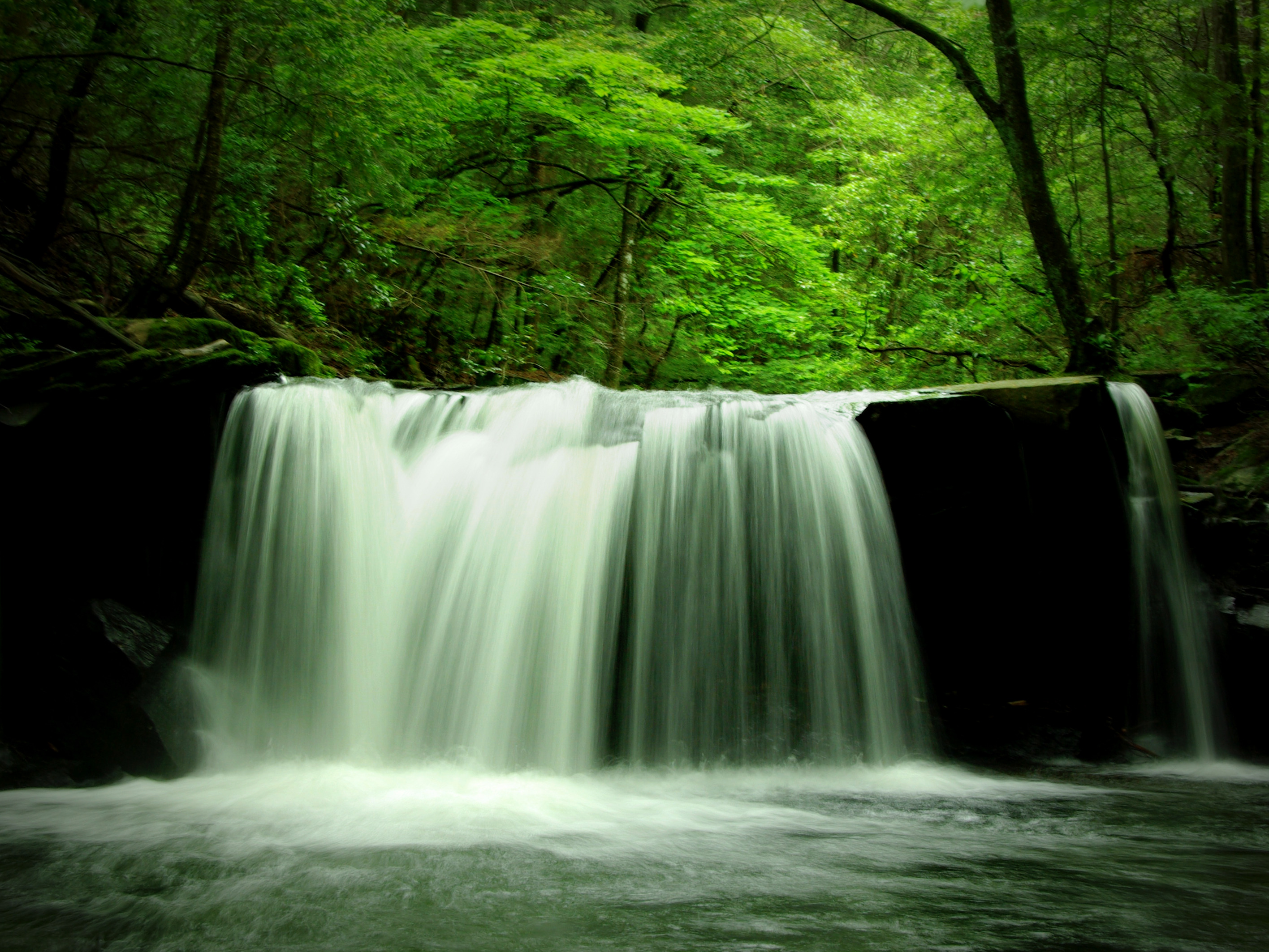 Laden Sie das Wasserfälle, Wasserfall, Wald, Baum, Erde/natur-Bild kostenlos auf Ihren PC-Desktop herunter