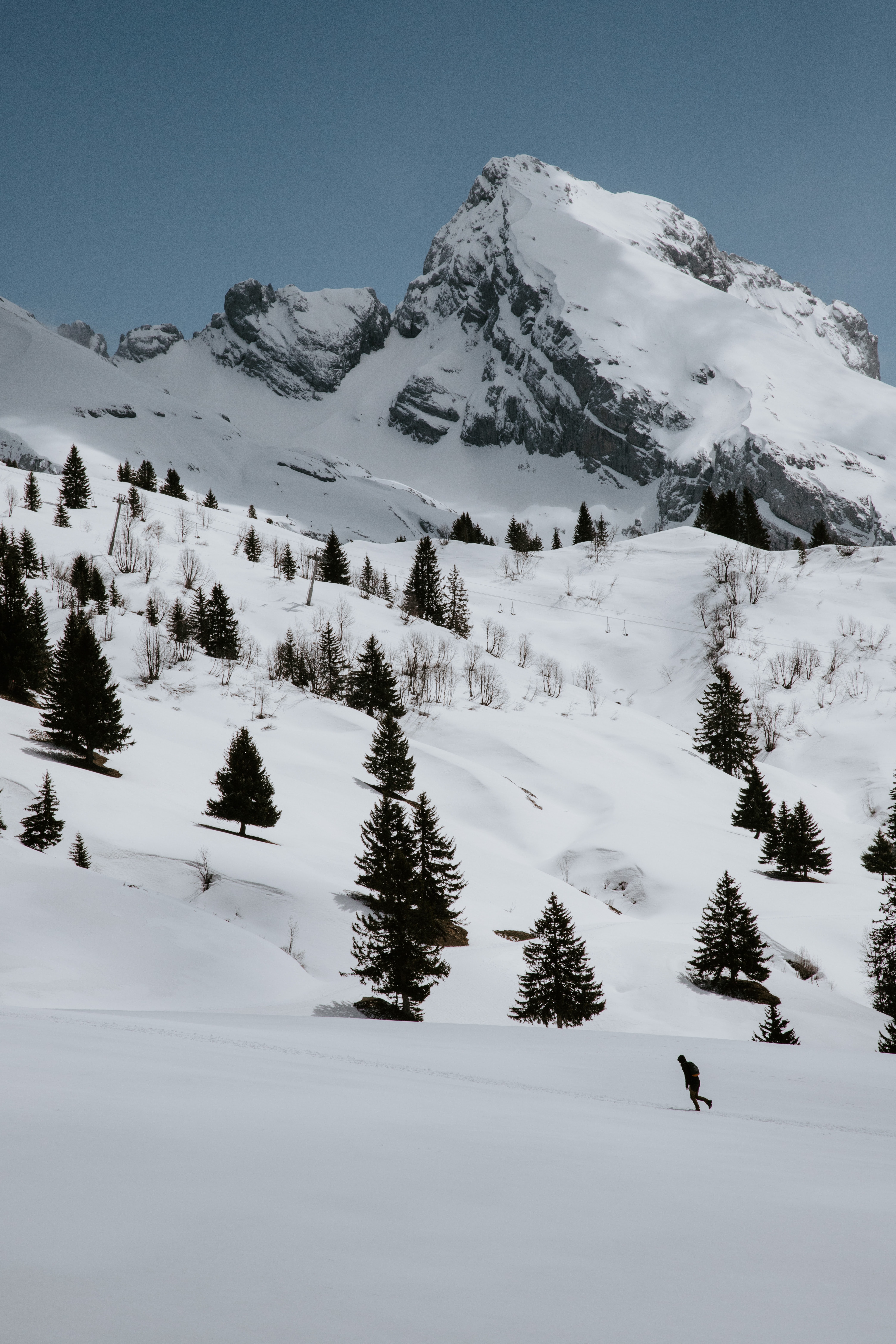 Descarga gratuita de fondo de pantalla para móvil de Naturaleza, Montañas, Las Rocas, Rocas, Abeto, Nevado, Nieve, Cubierto De Nieve, Árboles.