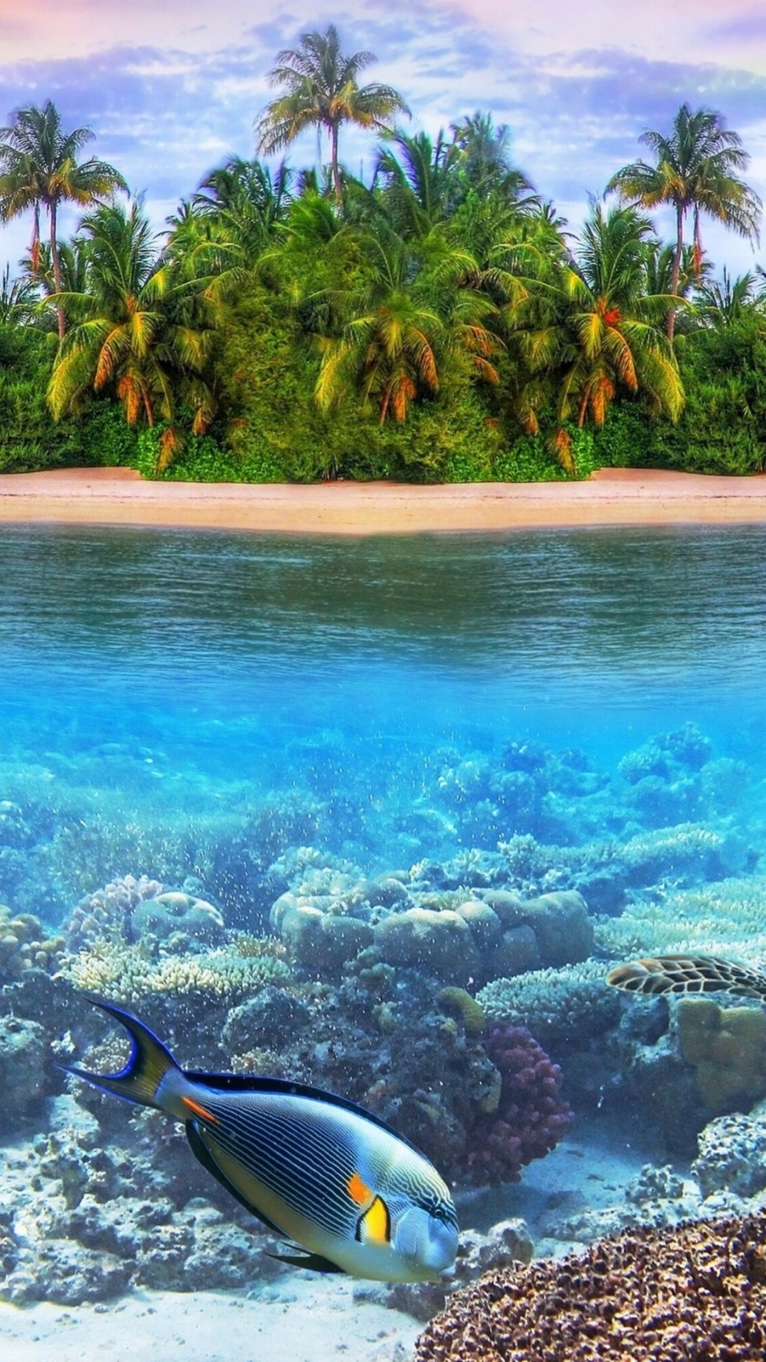 Скачать картинку Рыбы, Остров, Рыба, Черепаха, Подводный, Мальдивы, Риф, Земля/природа в телефон бесплатно.