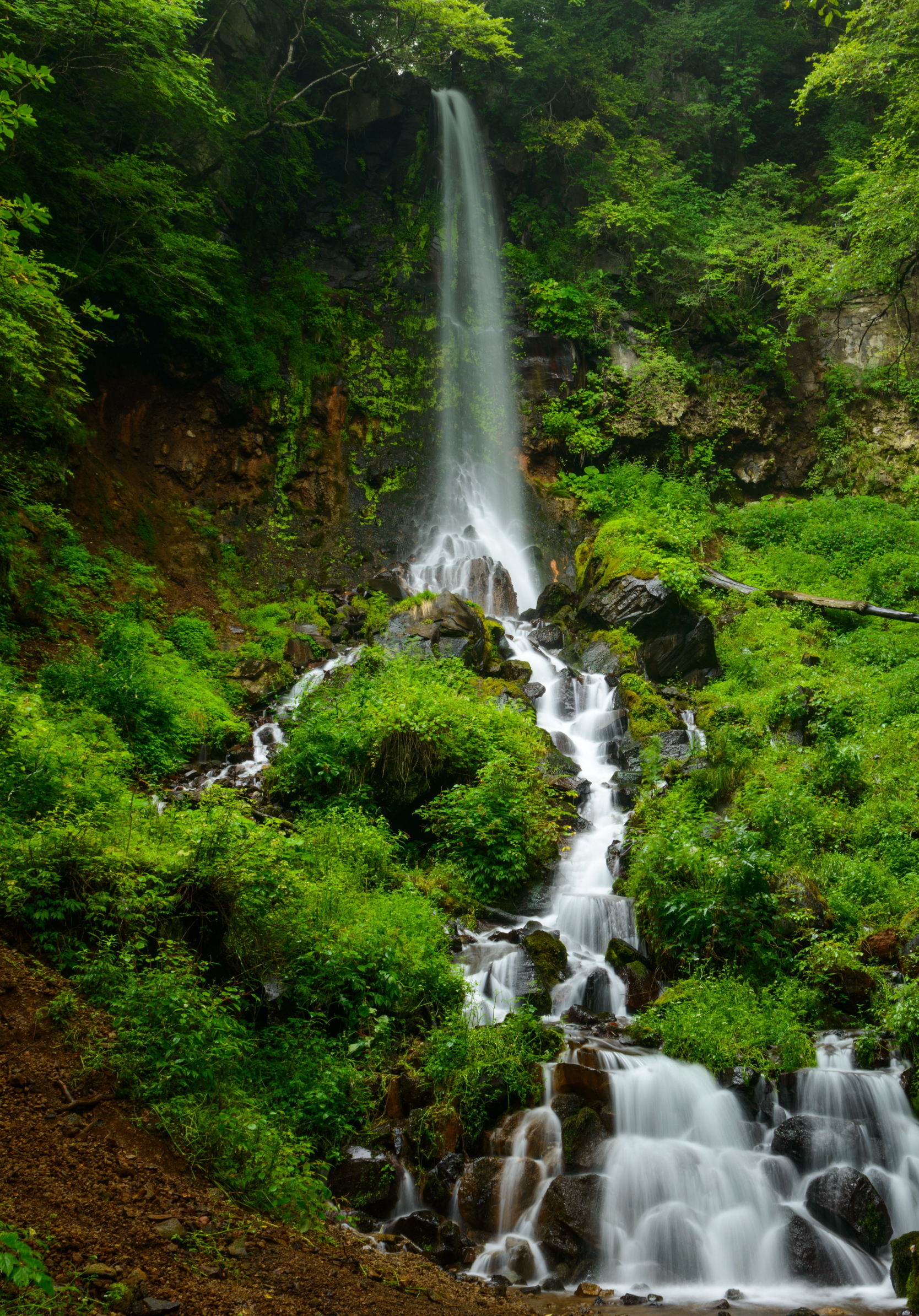 Скачать обои бесплатно Водопады, Водопад, Зелень, Земля/природа картинка на рабочий стол ПК