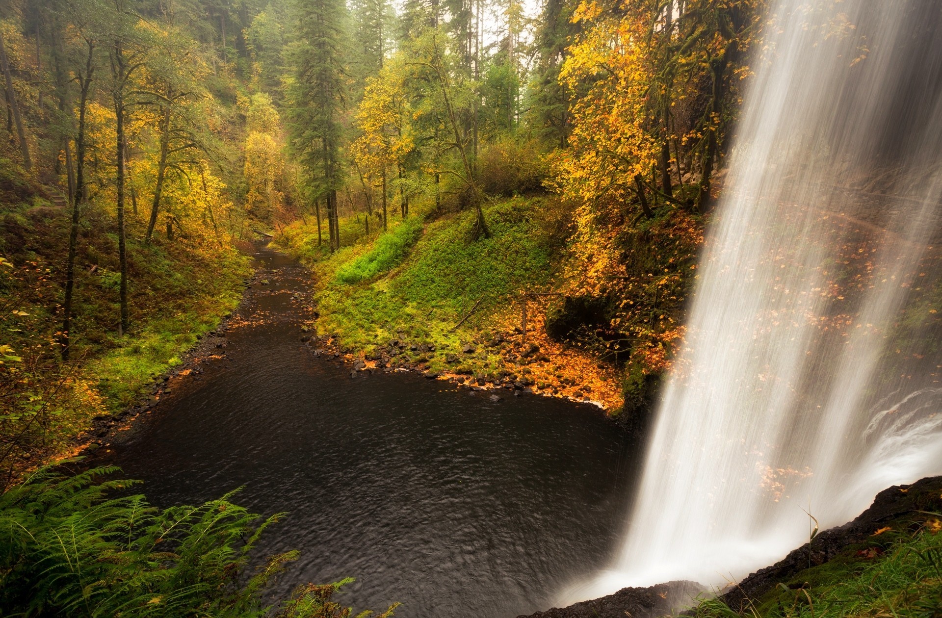 Скачать обои бесплатно Водопады, Водопад, Лес, Ручей, Земля/природа картинка на рабочий стол ПК