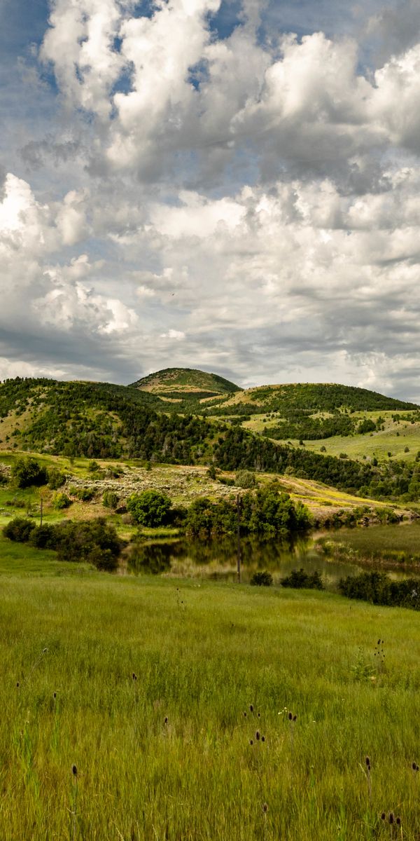 Fondos de pantalla de Campo para celular, gratis del teléfono 4K