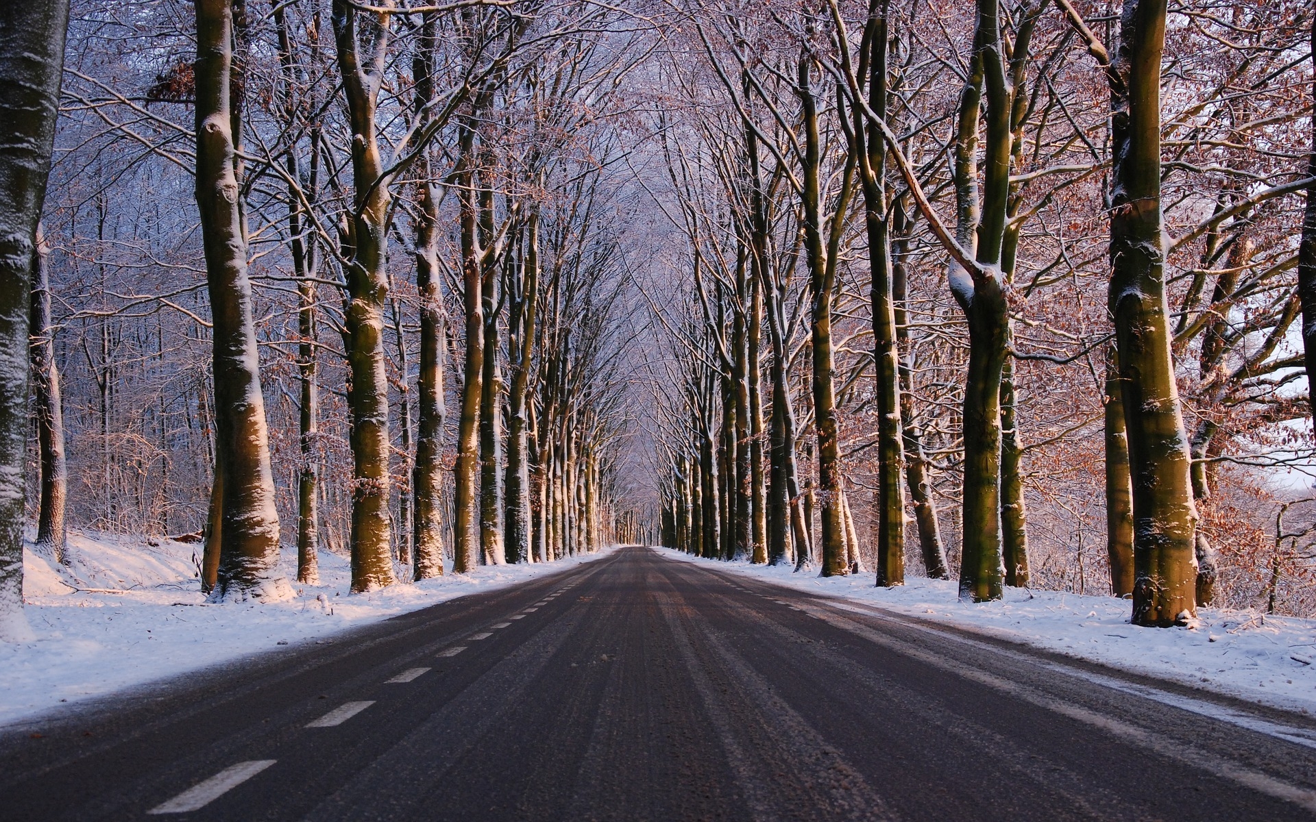 Handy-Wallpaper Winter, Schnee, Straße, Baum, Menschengemacht, Von Bäumen Gesäumt kostenlos herunterladen.