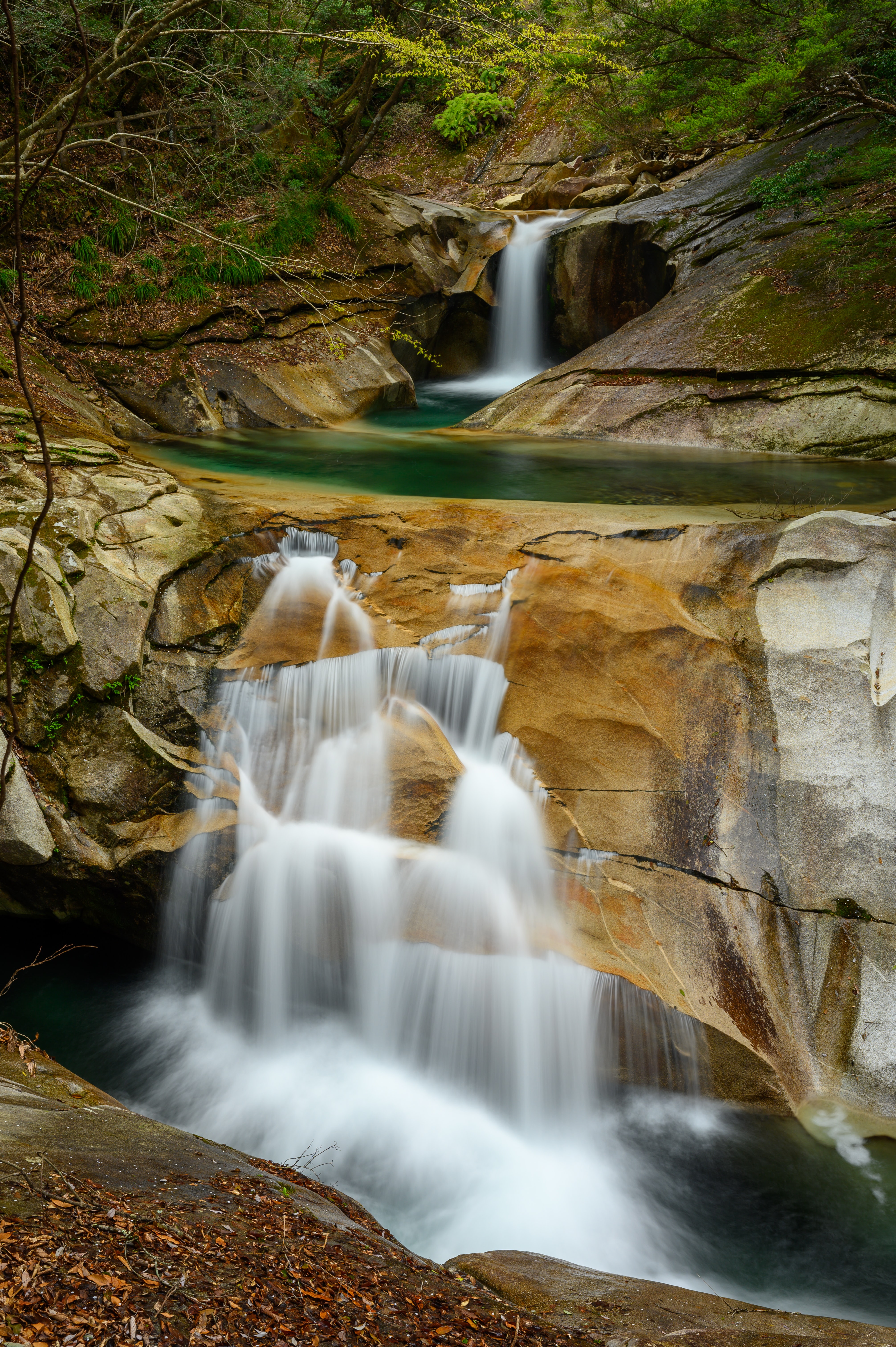 waterfall, trees, nature, rocks, spray, flow, stream Full HD