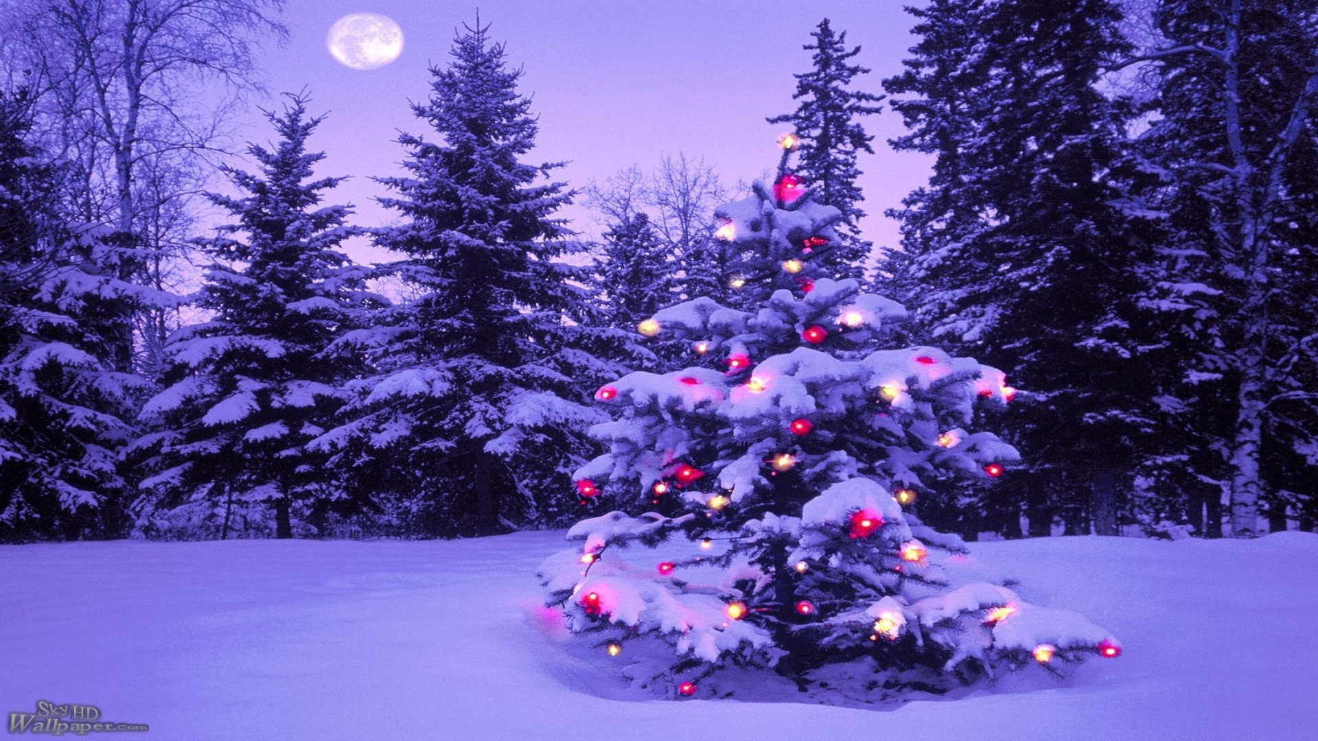 Download mobile wallpaper Moon, Snow, Light, Forest, Christmas, Holiday, Christmas Tree for free.